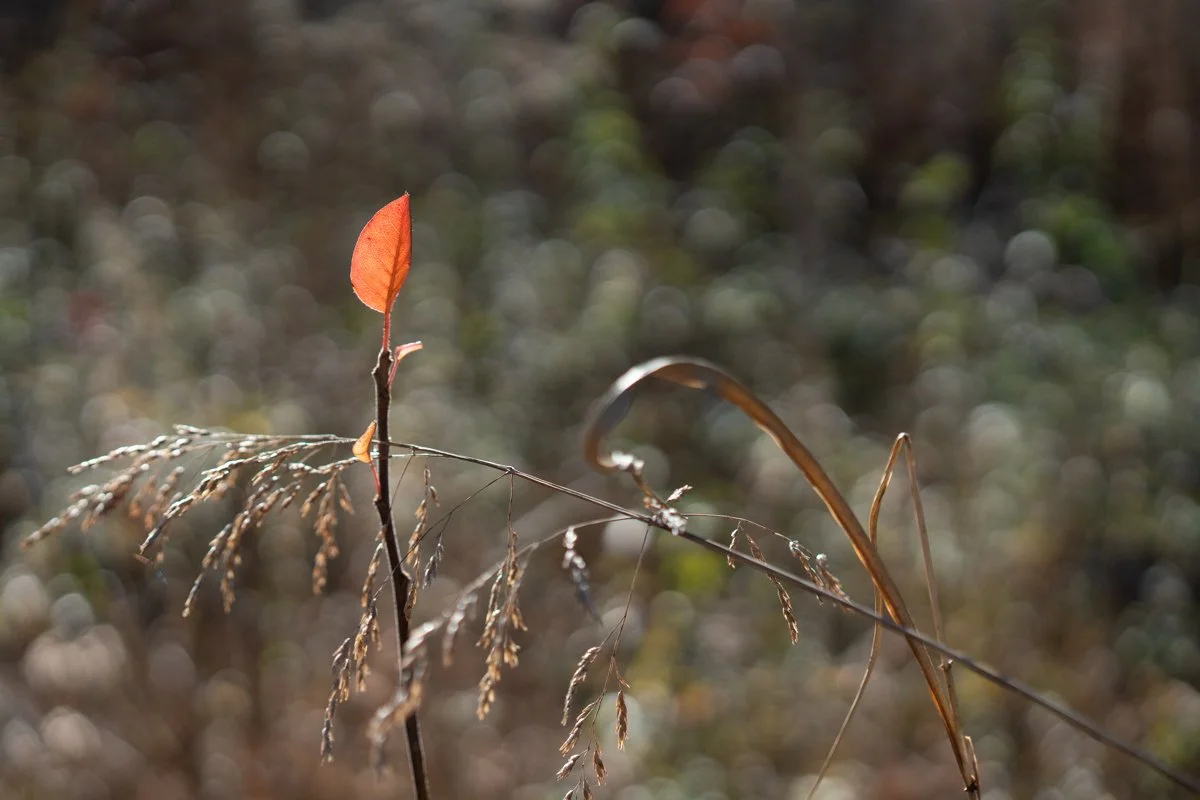 Marking Time: A New Year’s Show &amp; Share