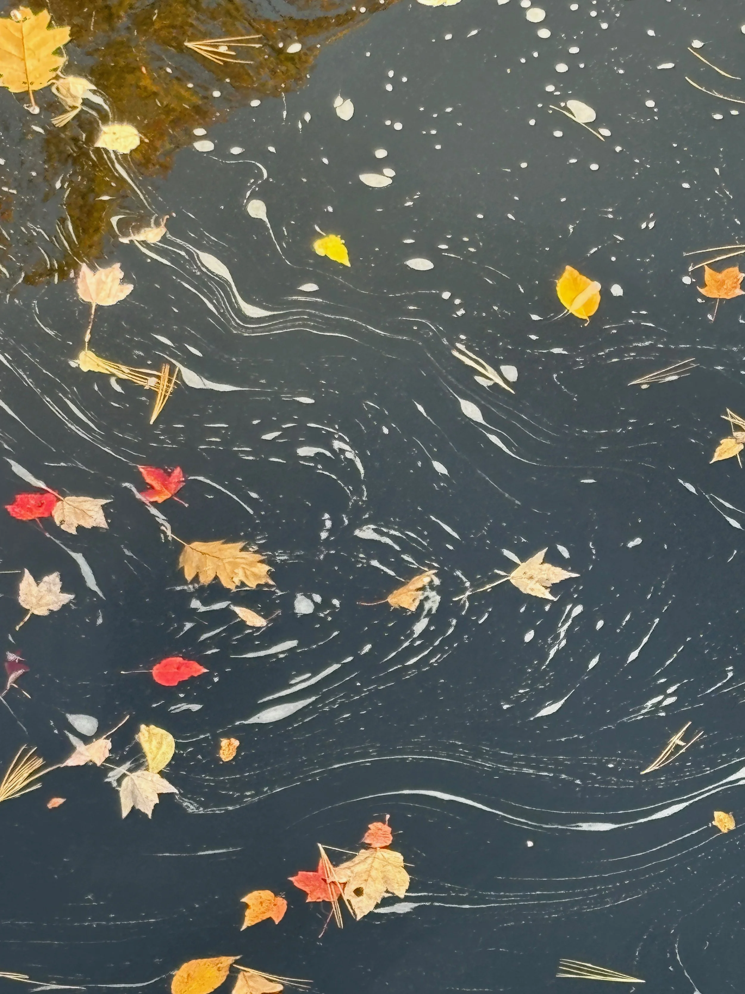 Water: A Mid-Stream Community Share