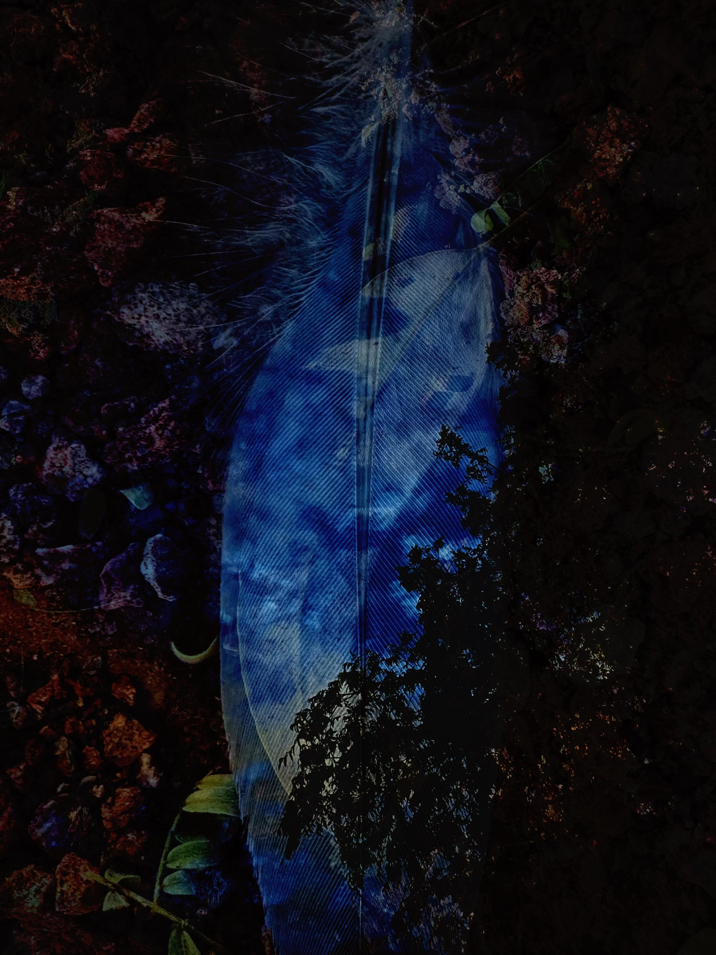 In the Belly of the Earth: Rhythm &amp; Ritual at Imbolc