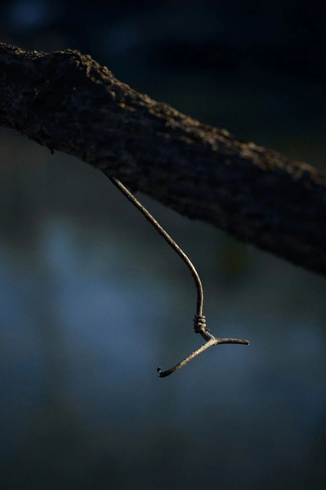 A Walk in the Park - Casey Visco
