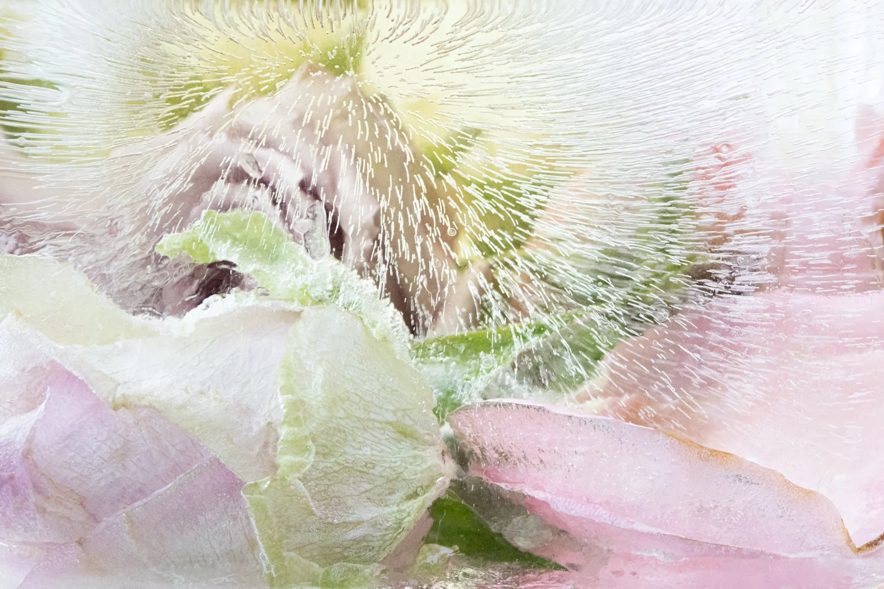 Ice Remembers - Alli Harper