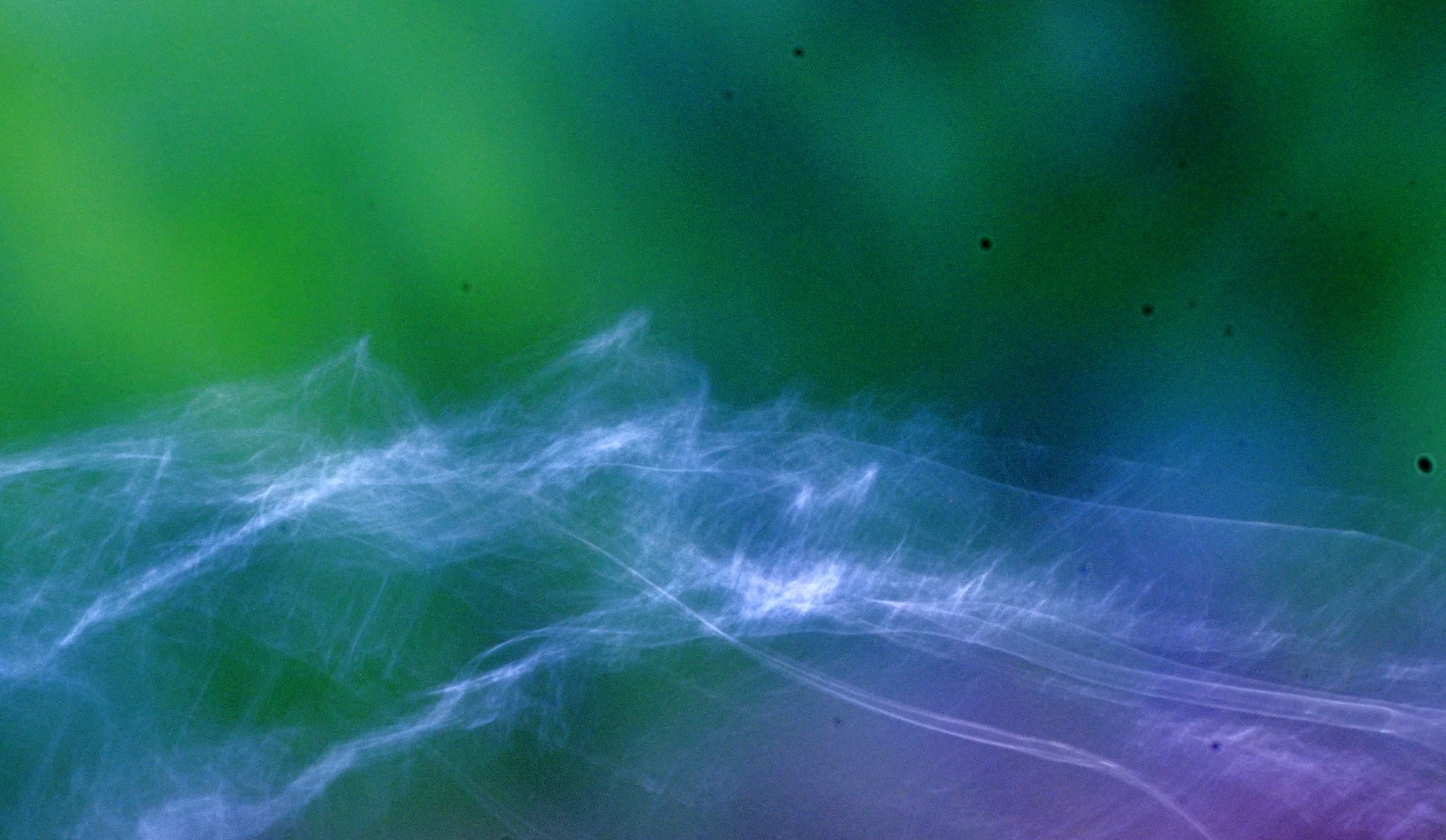 ‘in the ground of my beseeching’ - Kate Kennington Steer