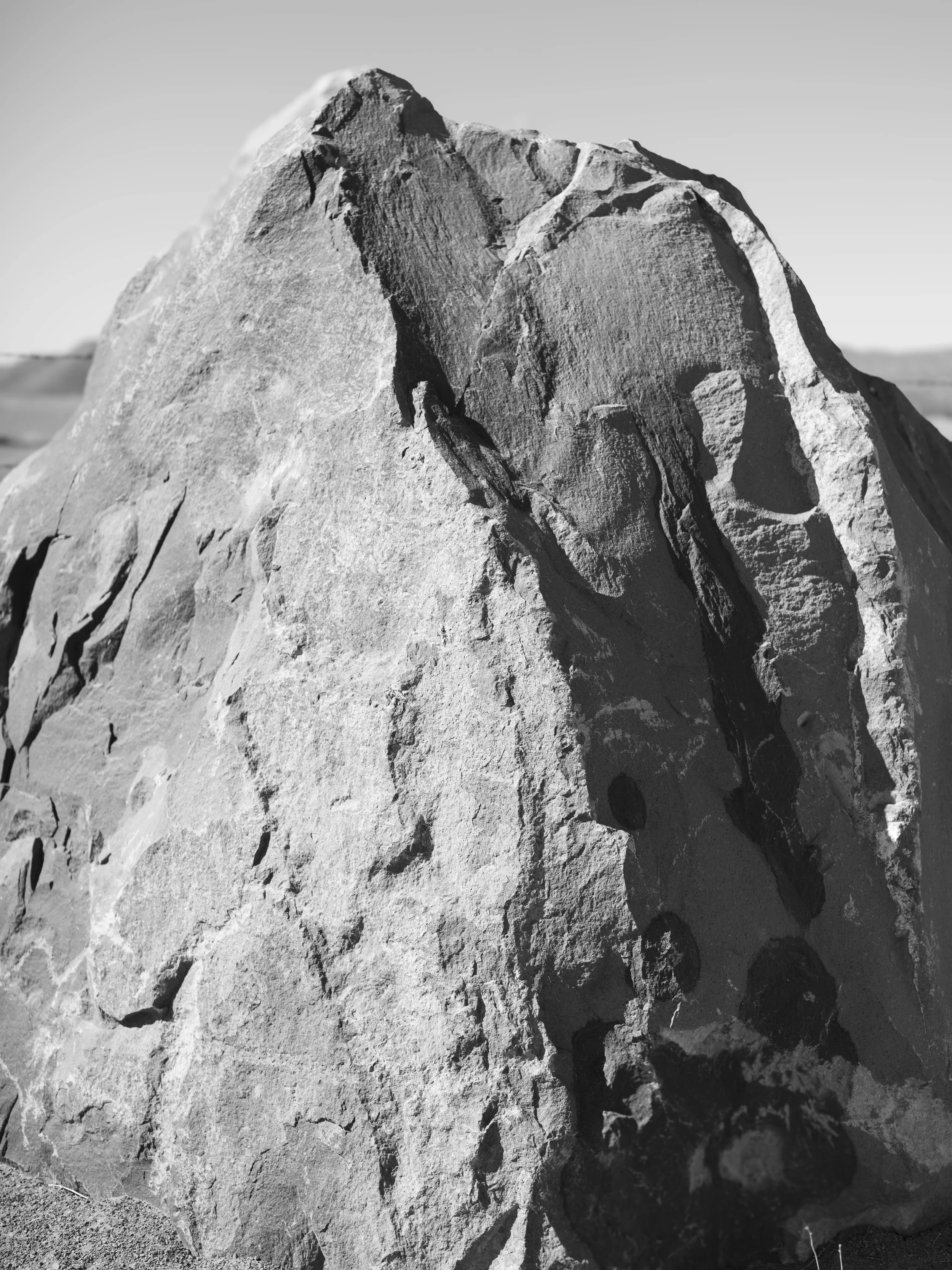 Bodies Connected by Earth - Anna Rotty