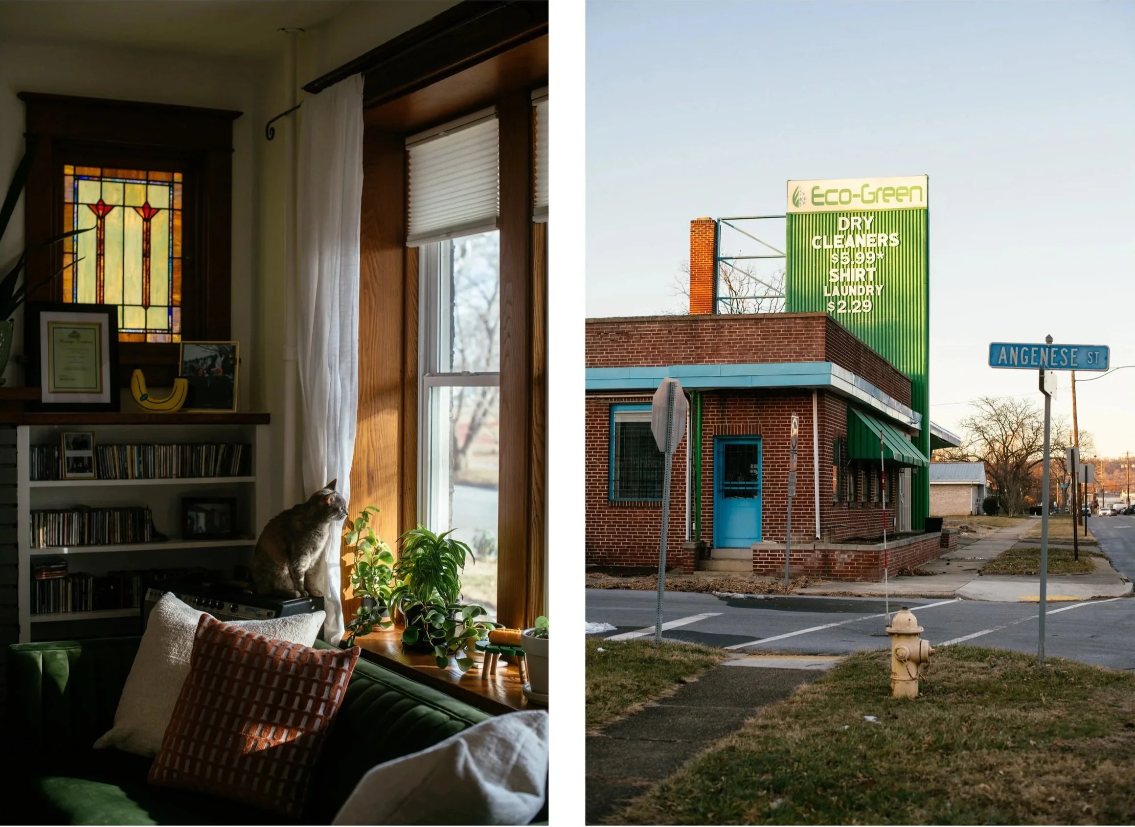 The Peach Tree - Dani Fresh