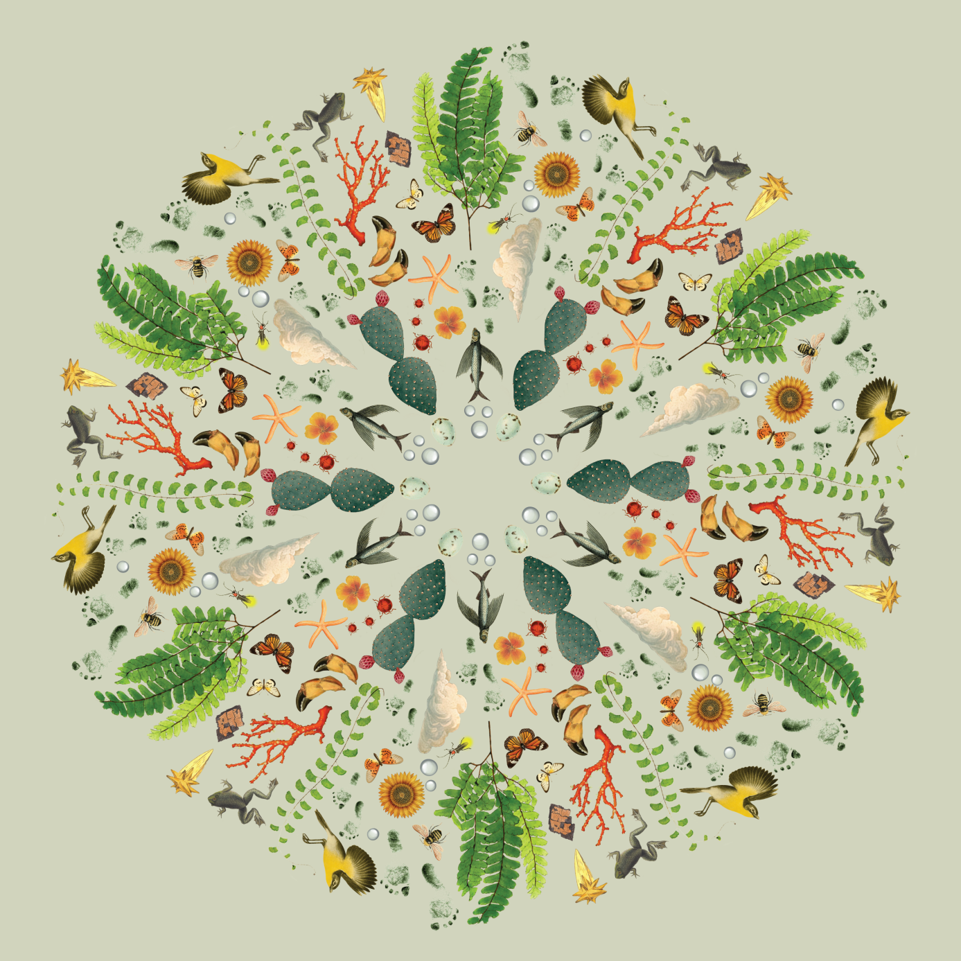 An Elemental Life with John Hausdoerffer and Gavin Van Horn