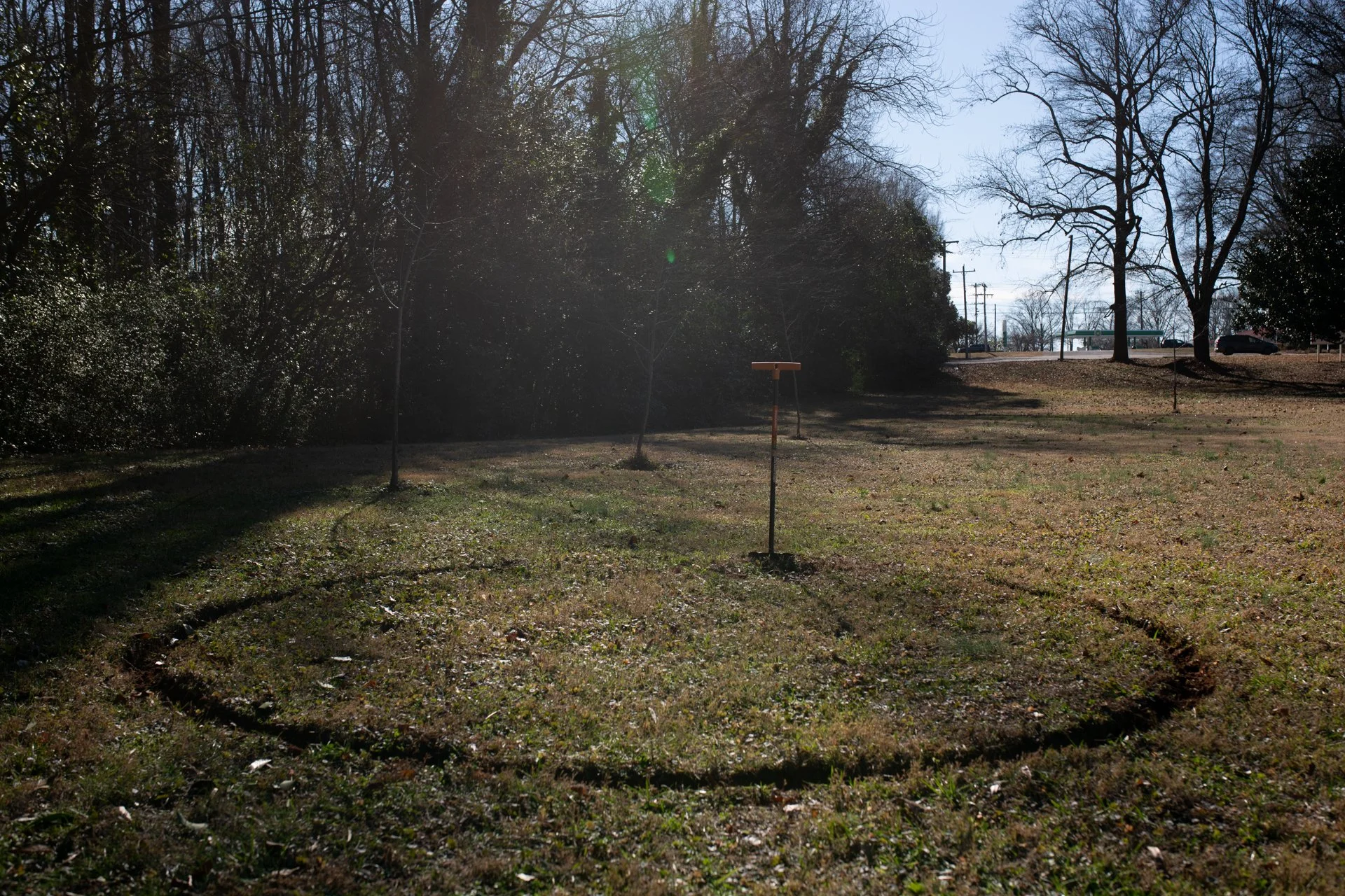 Creation Begins in Darkness - Tracy Watts