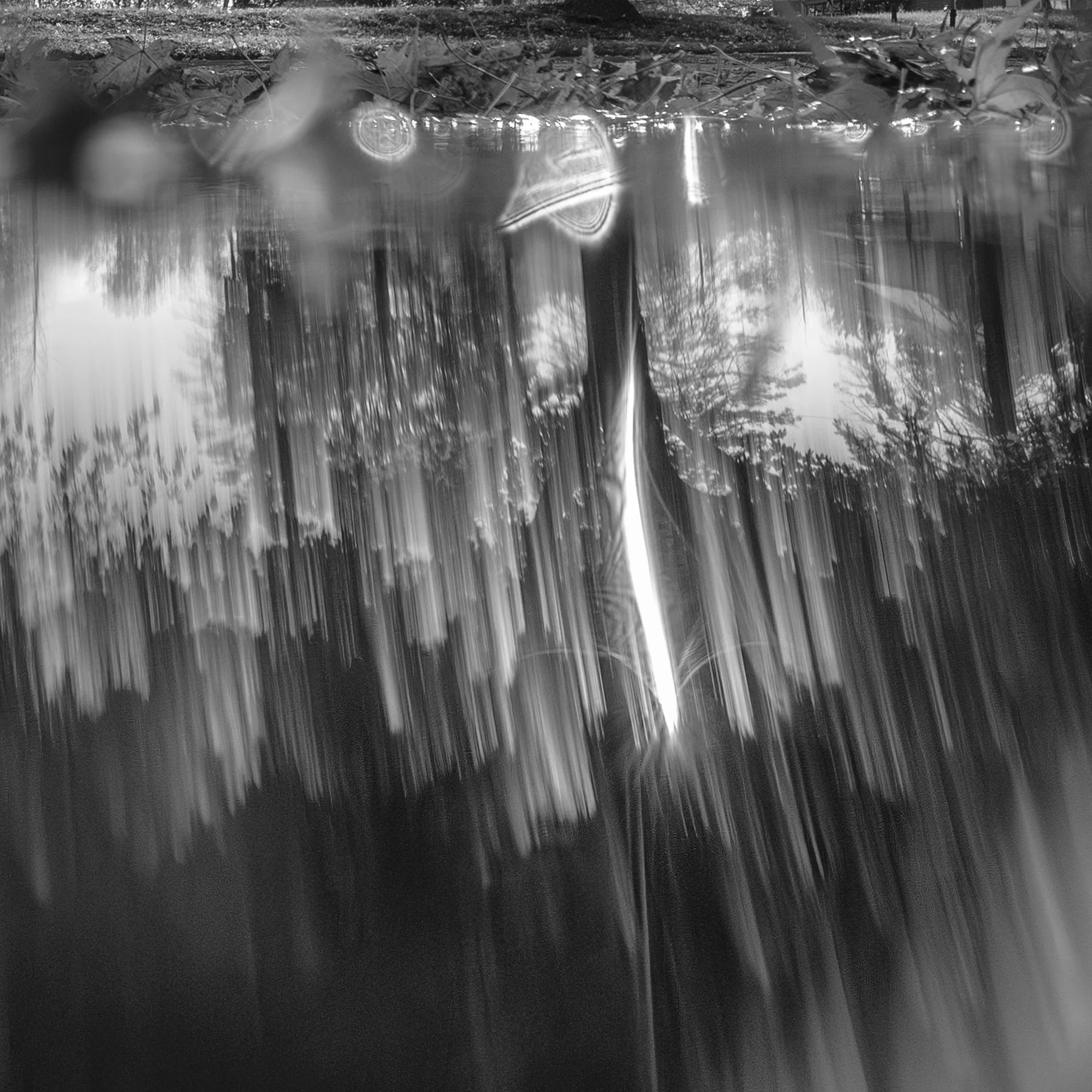 Water’s Many Essences - George Lottermoser