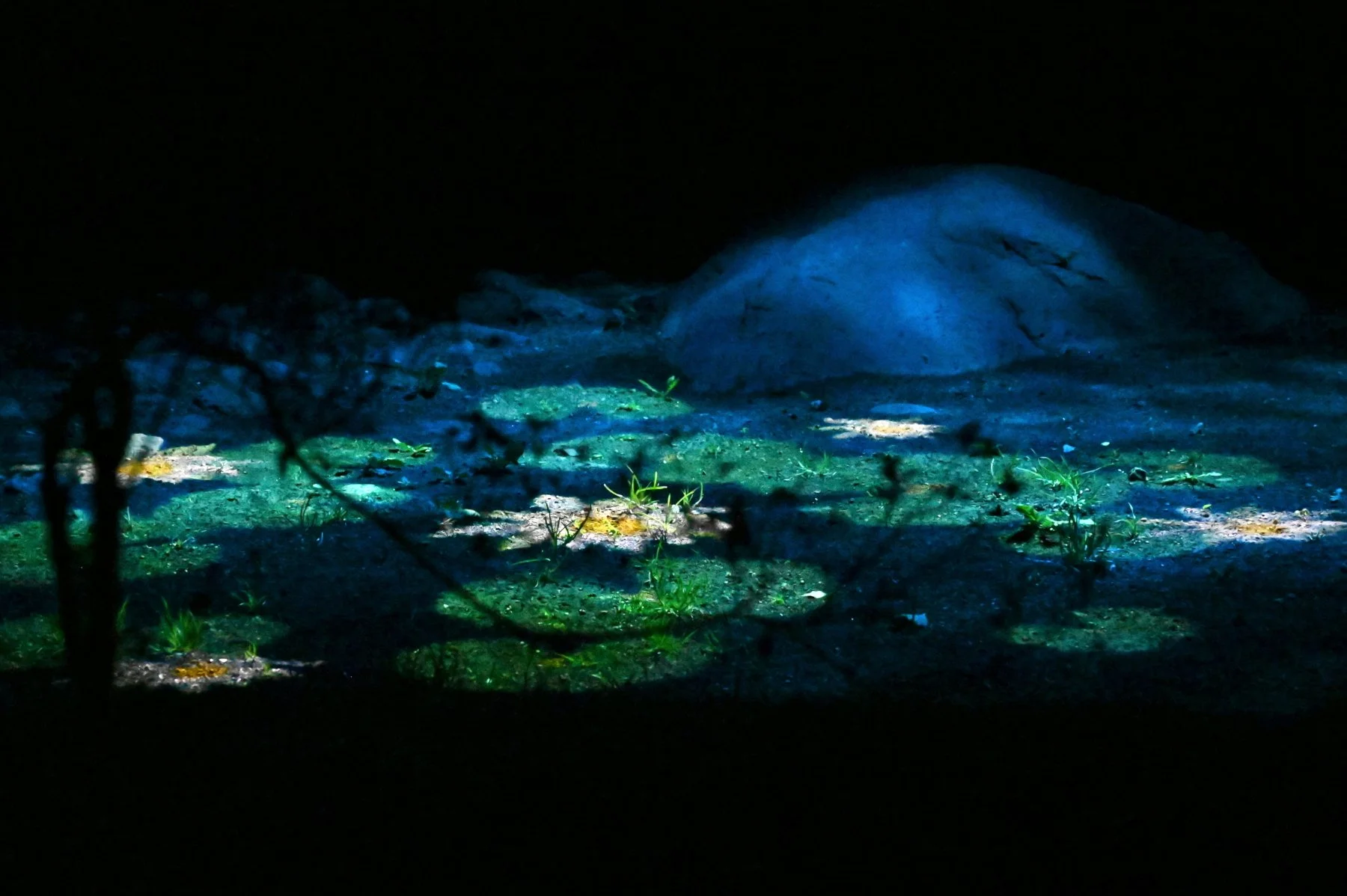 Not so still life: The way water flows through the natural, mystical, and man-made — Julia Nagai