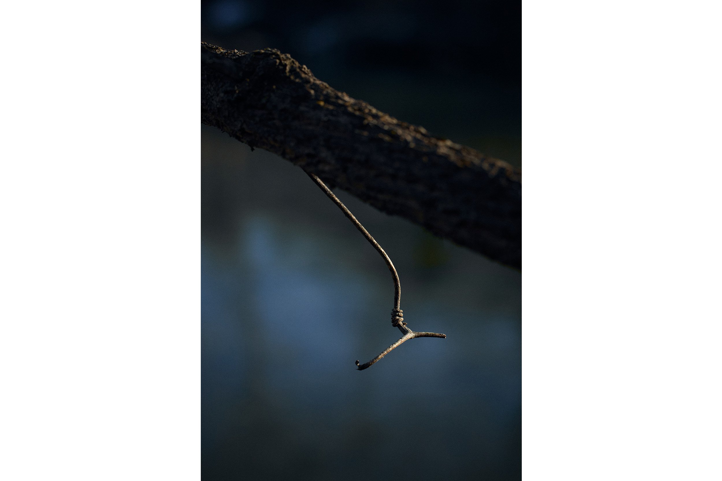 A Walk in the Park - Casey Visco