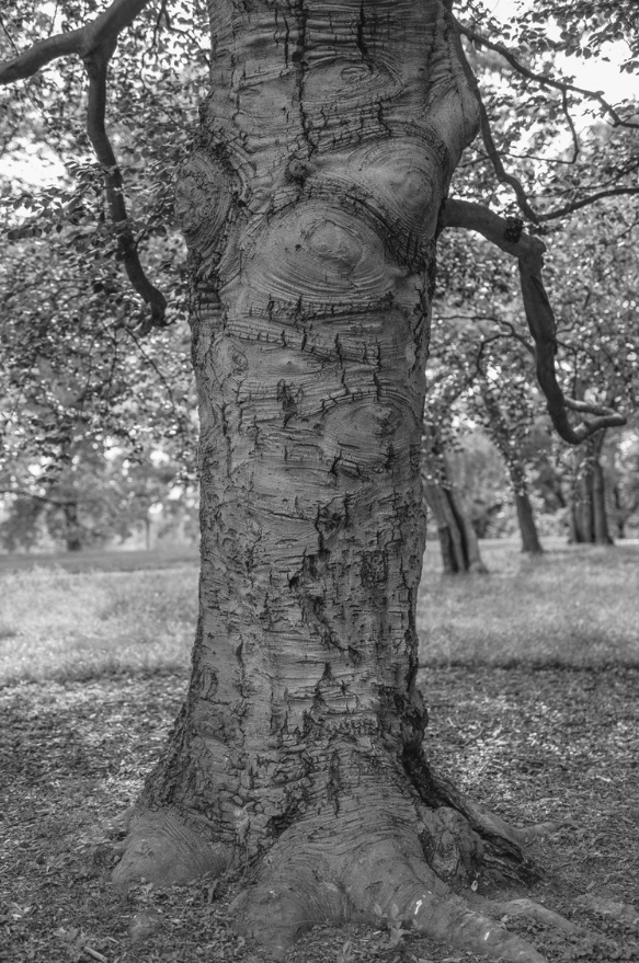 Time: A Kinship Call-for-Engagement