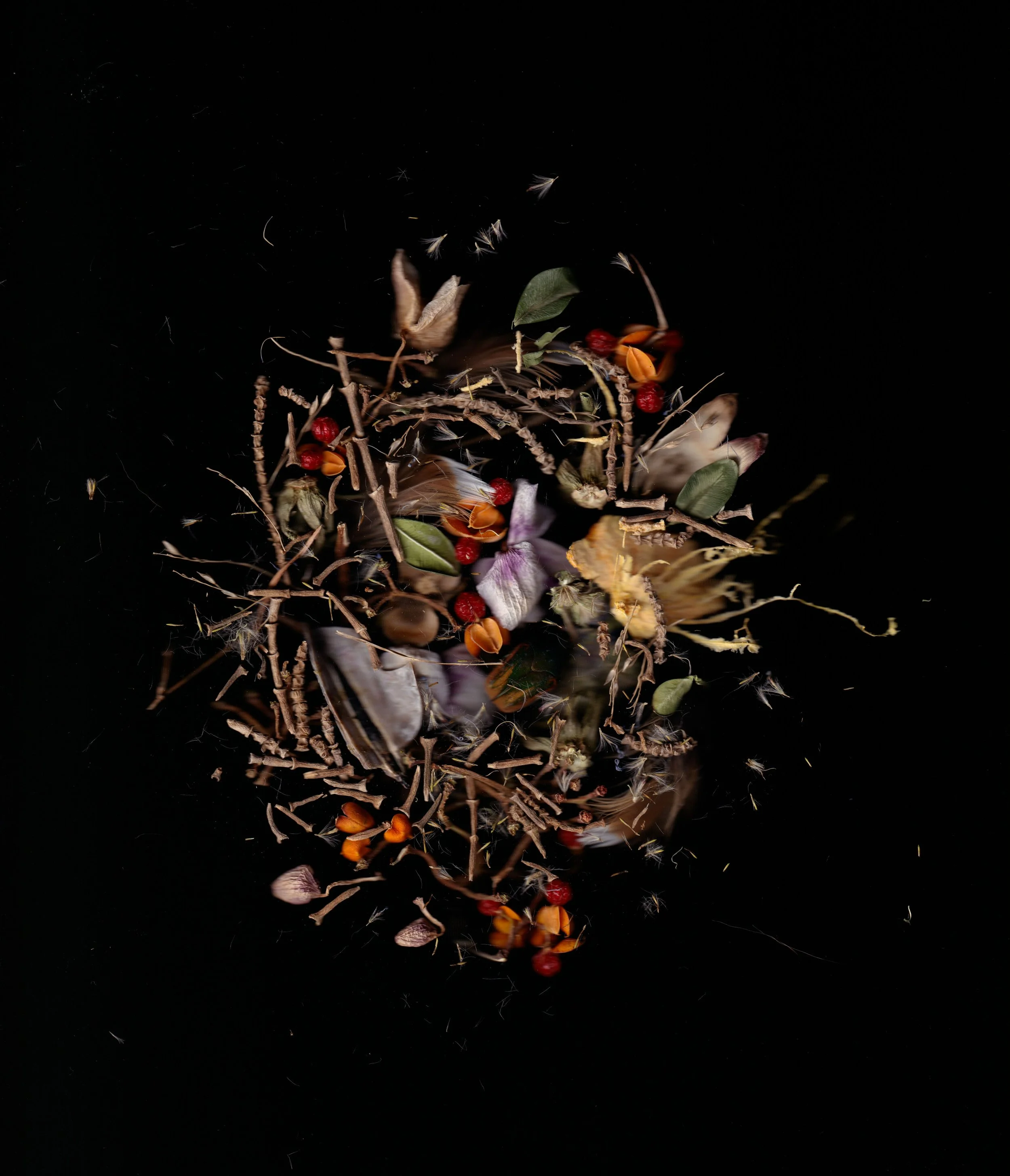 Looking Slowly with Liz Titone