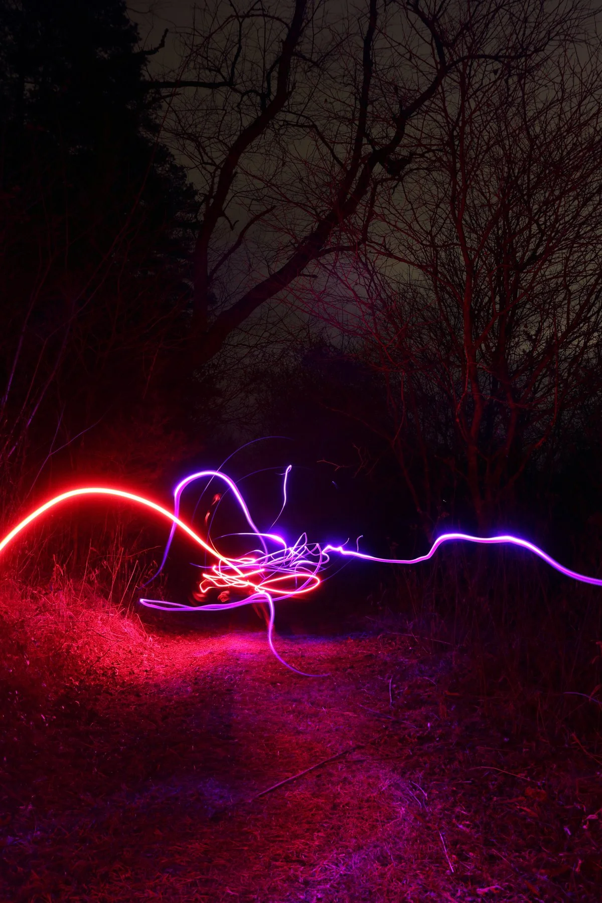 Fire as Gesture - April McNiff