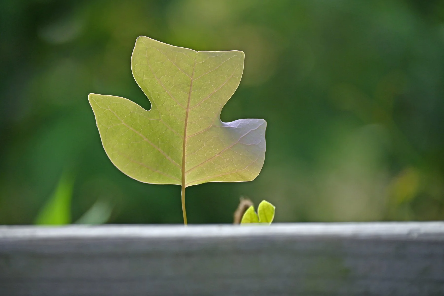 Keeping Time: A Practice Group Circle Back