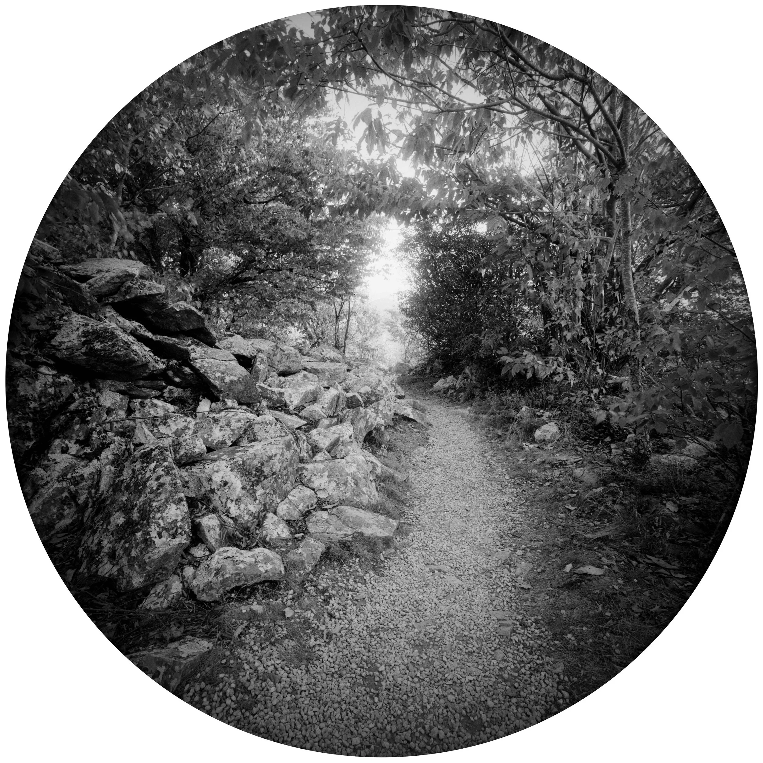 National Parks: Artist Residencies