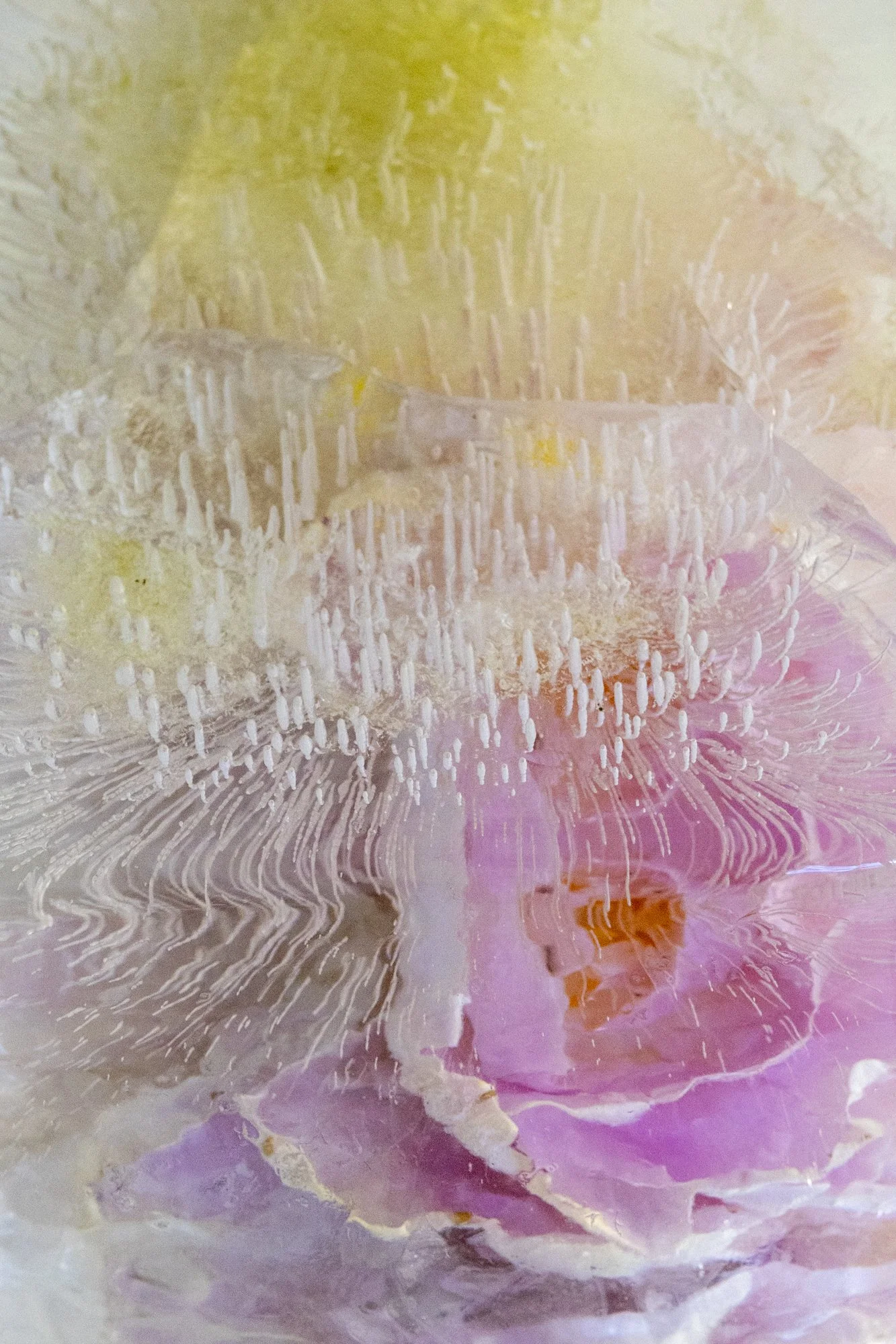 Transitional States: The Flow of Water as Inspiration - Practice Group Circle Back