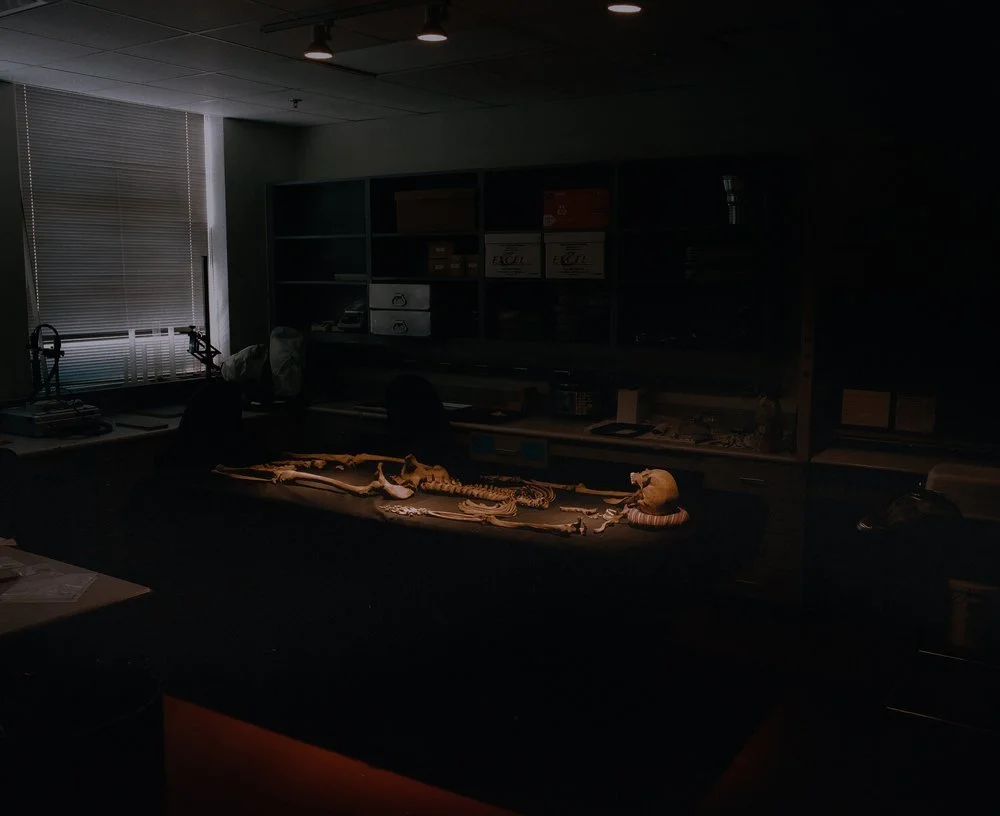 Quite Hours: Der Greif
