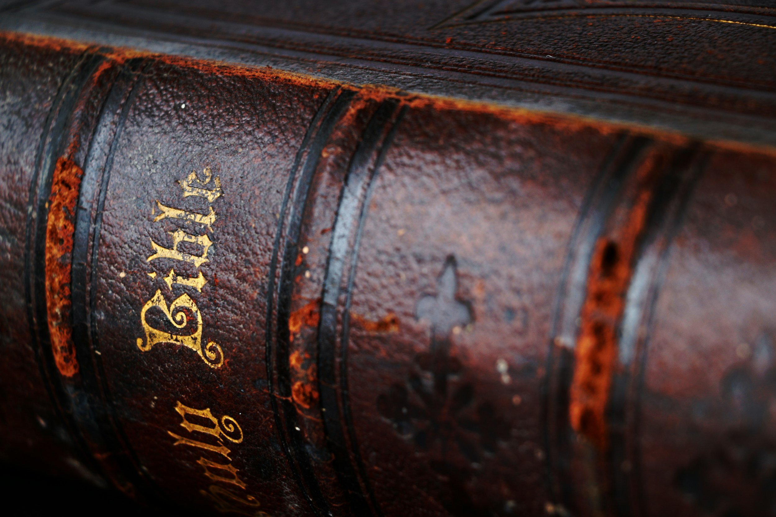 “Why Do You Keep Talking About the Bible?” 