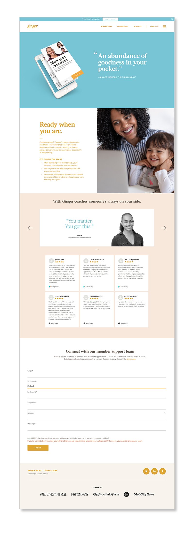 Ginger_Website_Redesign_Presentation_2.jpg