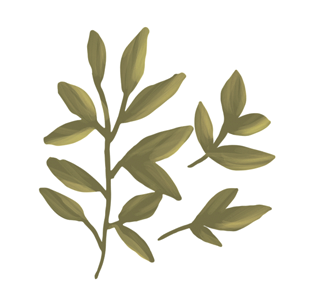 Hand Drawn Green Plant Illustration