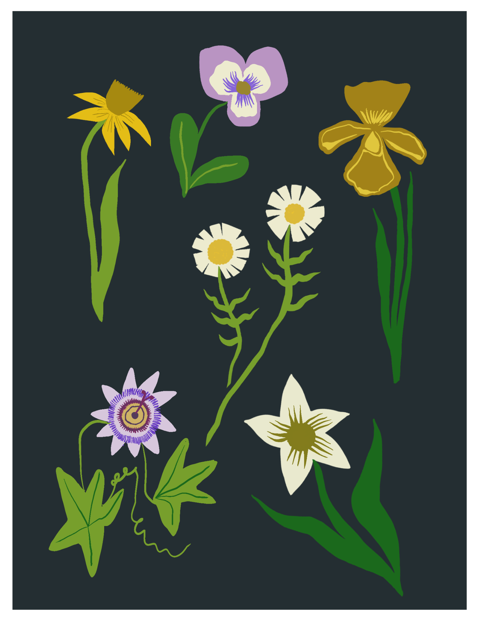 print_1.png