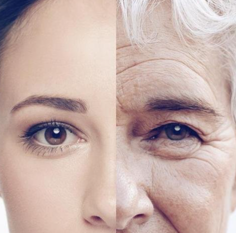 Calm biological age testing image for Wellbeing George