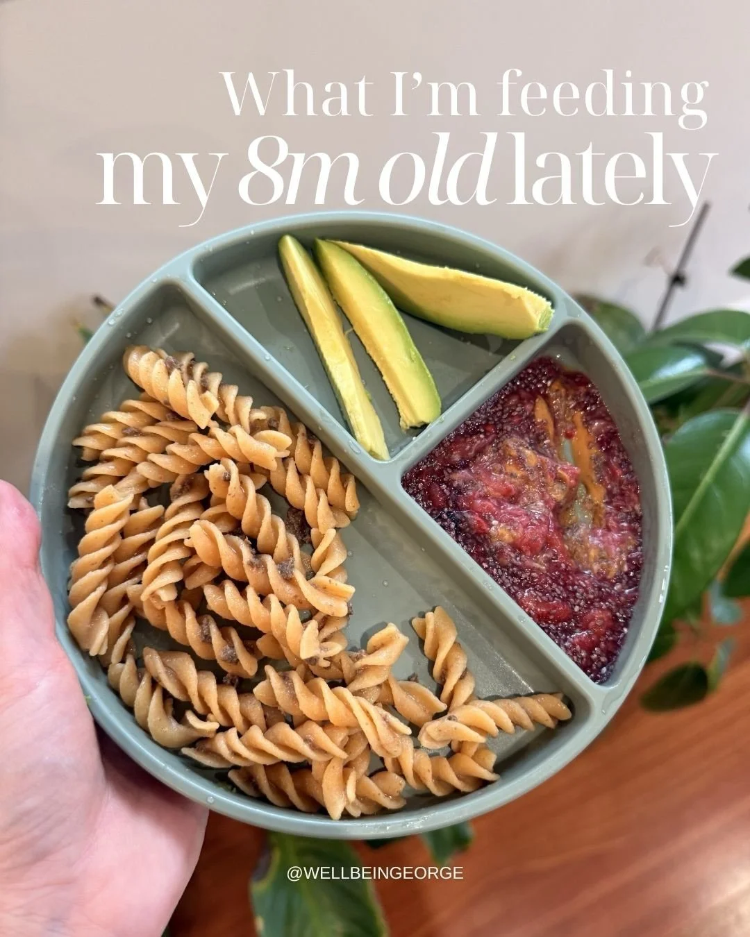 What I&rsquo;ve been feeding my 8-month-old lately 🥑✨
It&rsquo;s not perfect, but I just aim for whole foods, variety, and nutrients that support growth.
At this age, it&rsquo;s less about how much they eat&hellip;and more about what they&rsquo;re e