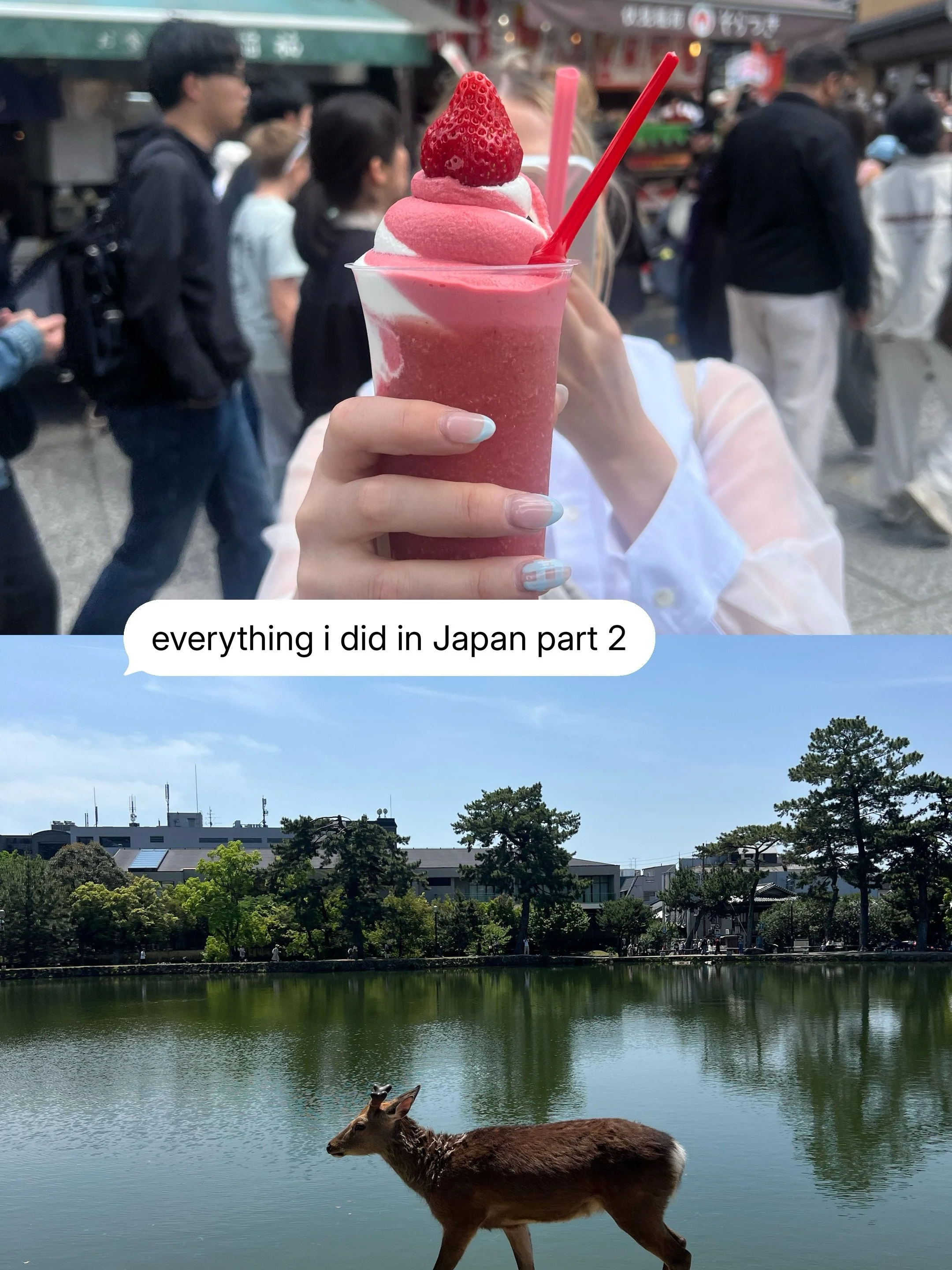 Japan 🇯🇵 Part 2. Vibe- Relaxation meets full tourist mode #japanfood #japantravelphoto #traveljapan🇯🇵