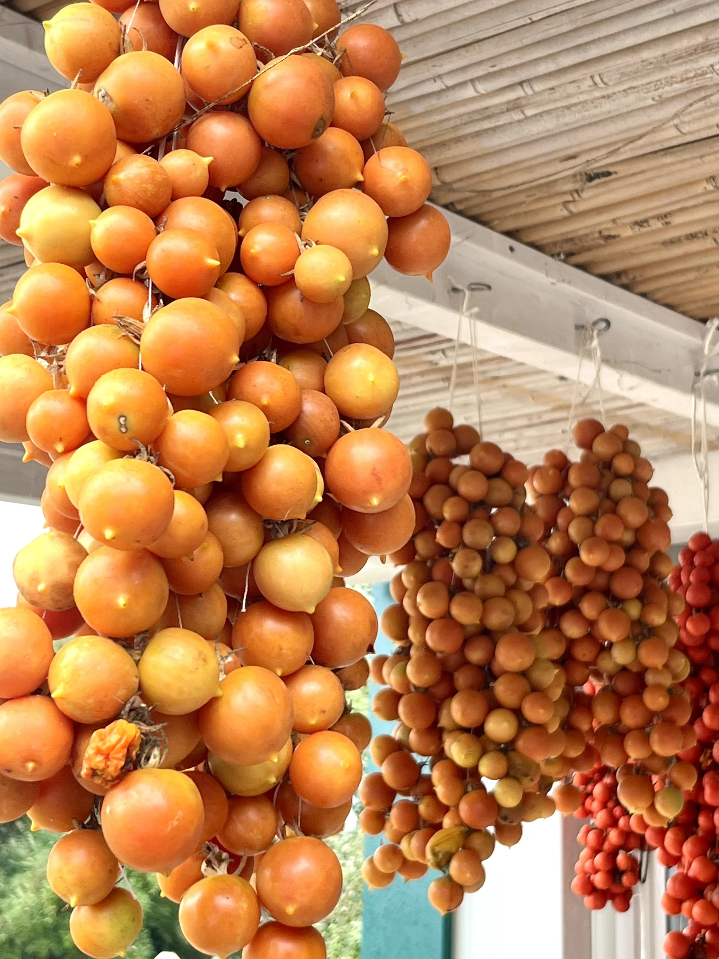 Wo Geschmack seinen Ursprung hat