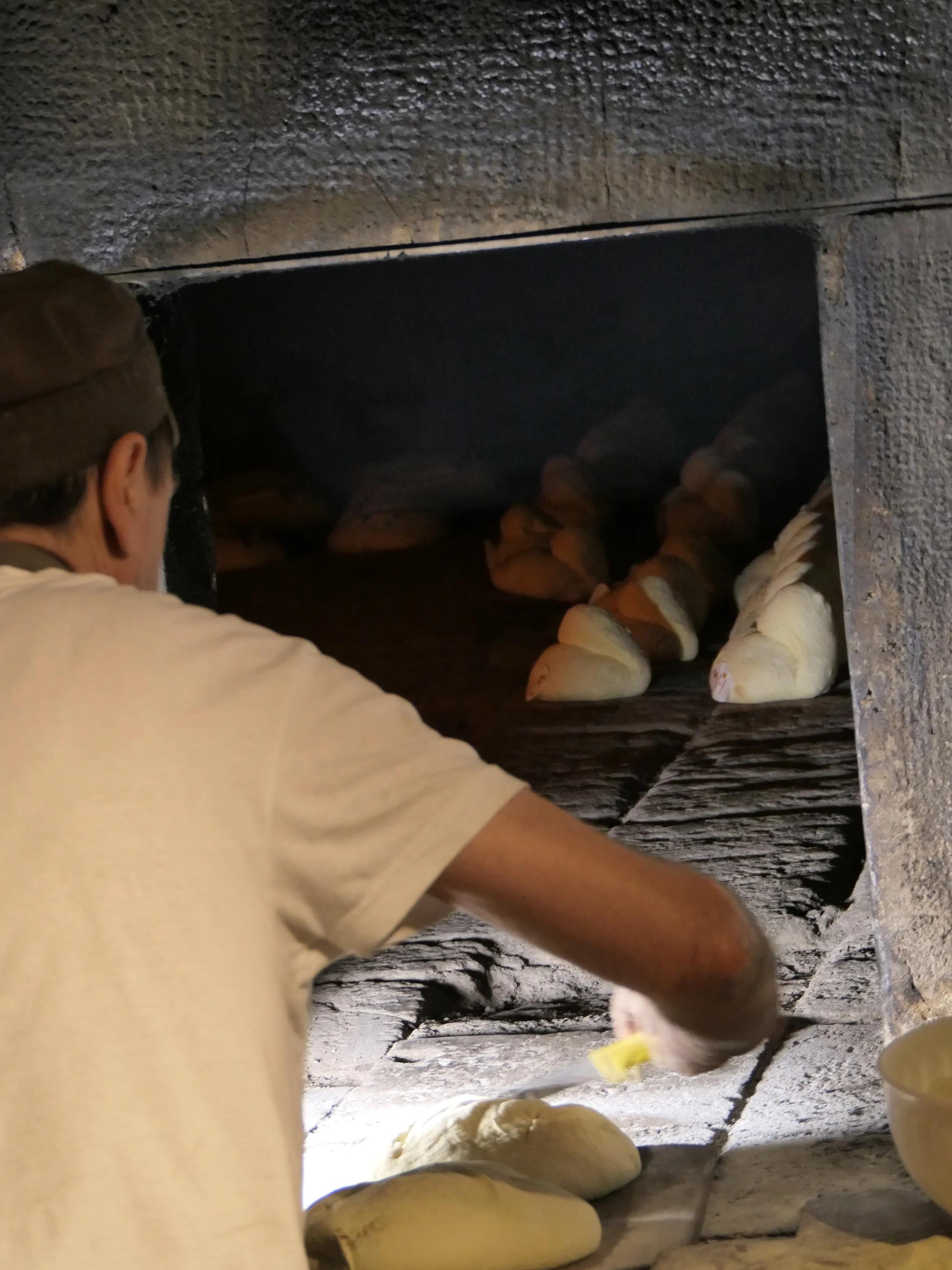 barese pane forno.JPG
