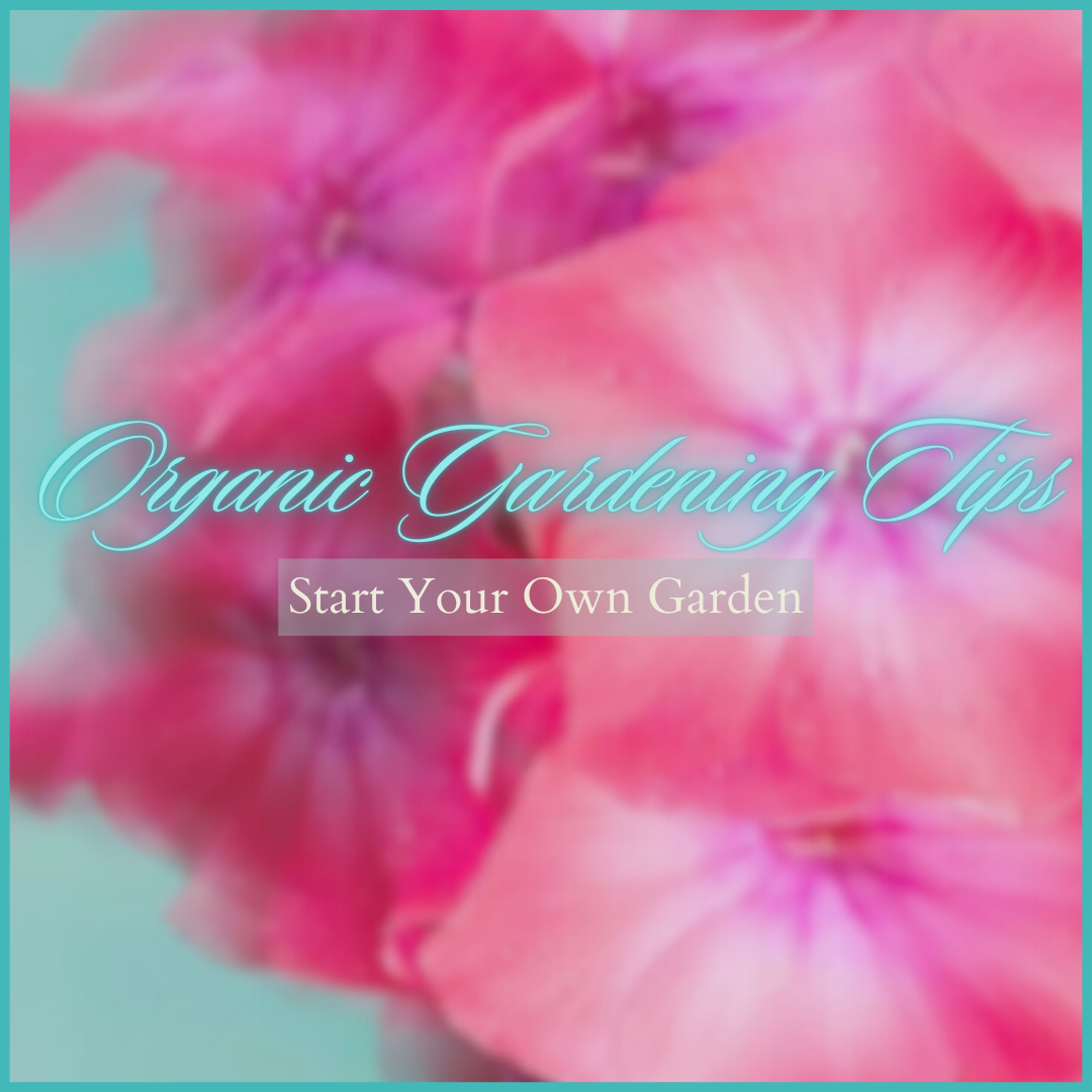 Organic Gardening Tips