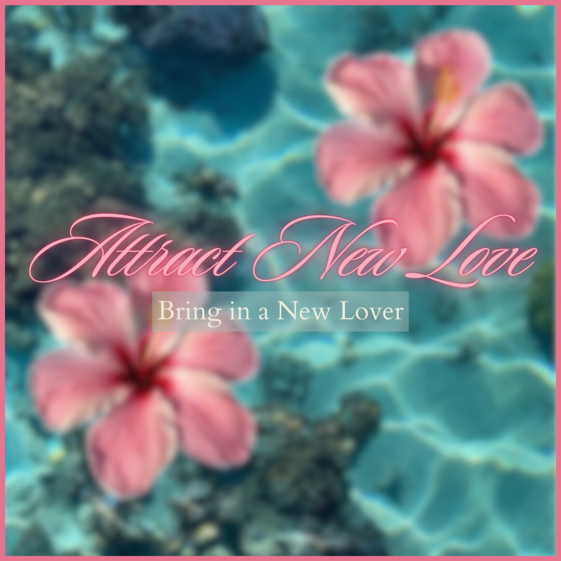 Attract New Love