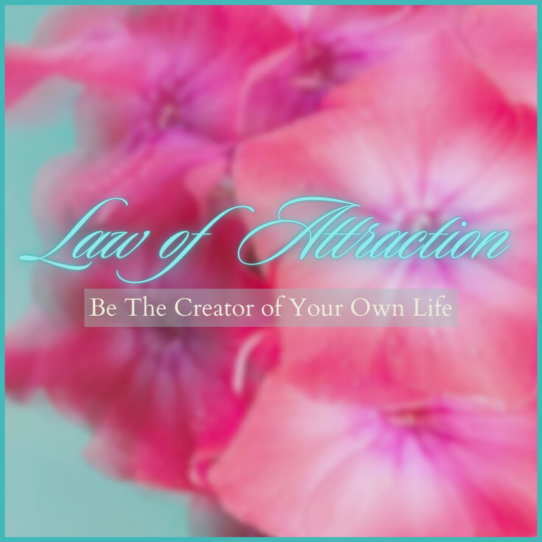 How To Be The Creator Of Your Own Life