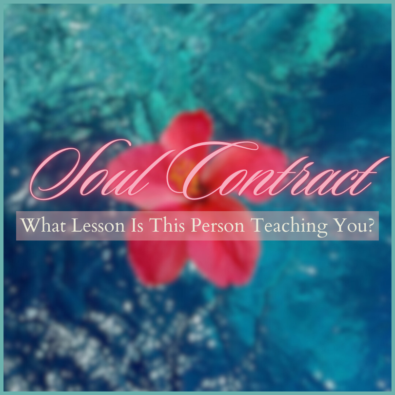 The Soul Contract