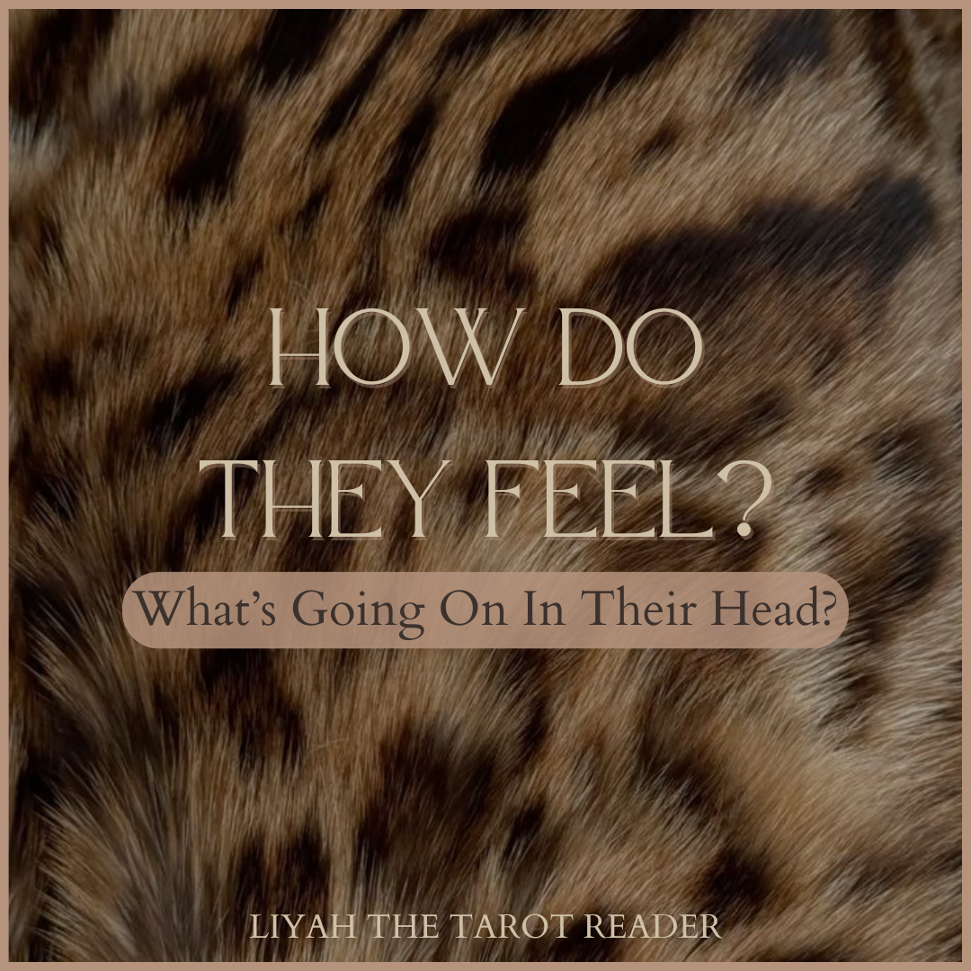 How Do They Feel.png