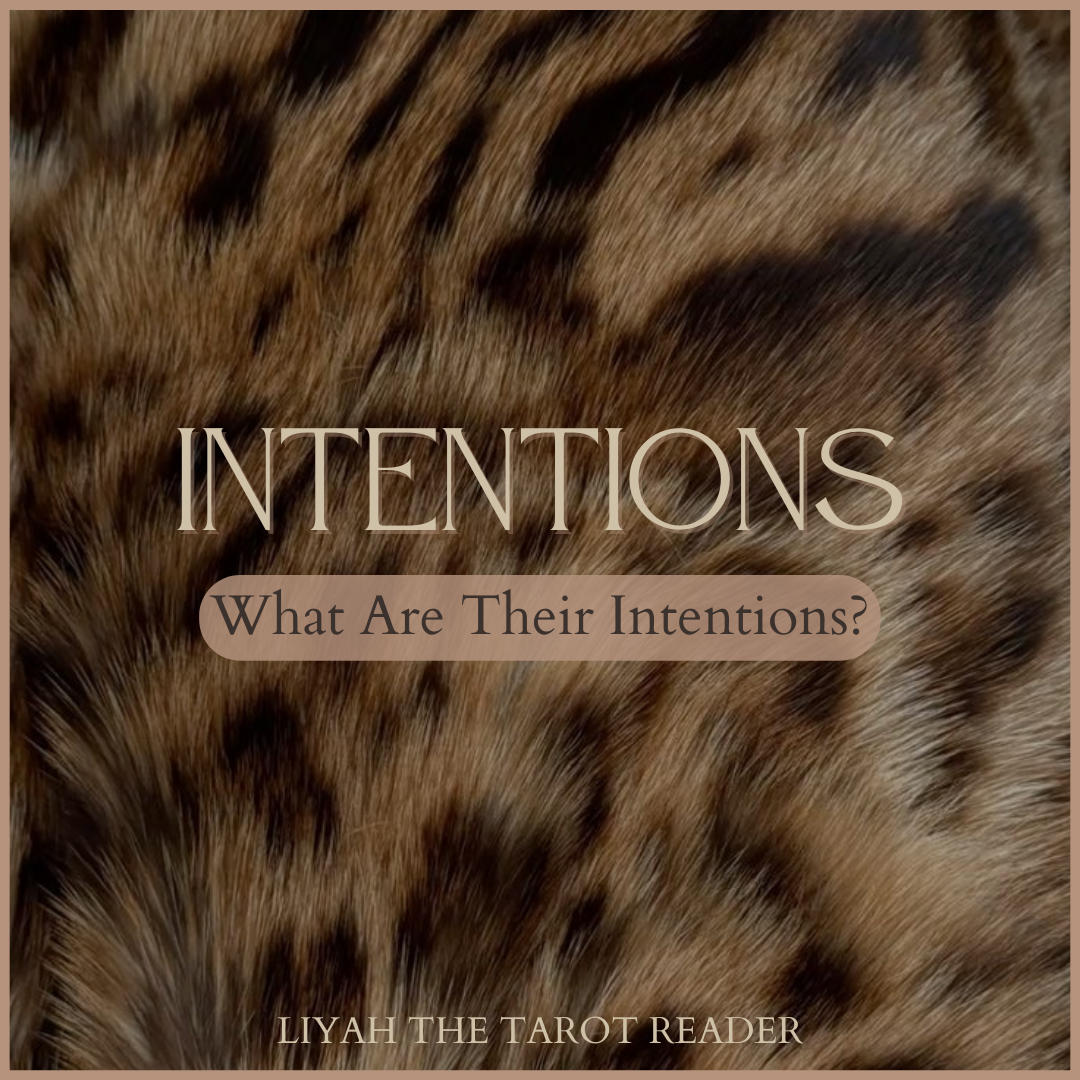 What Are Their Intentions.png