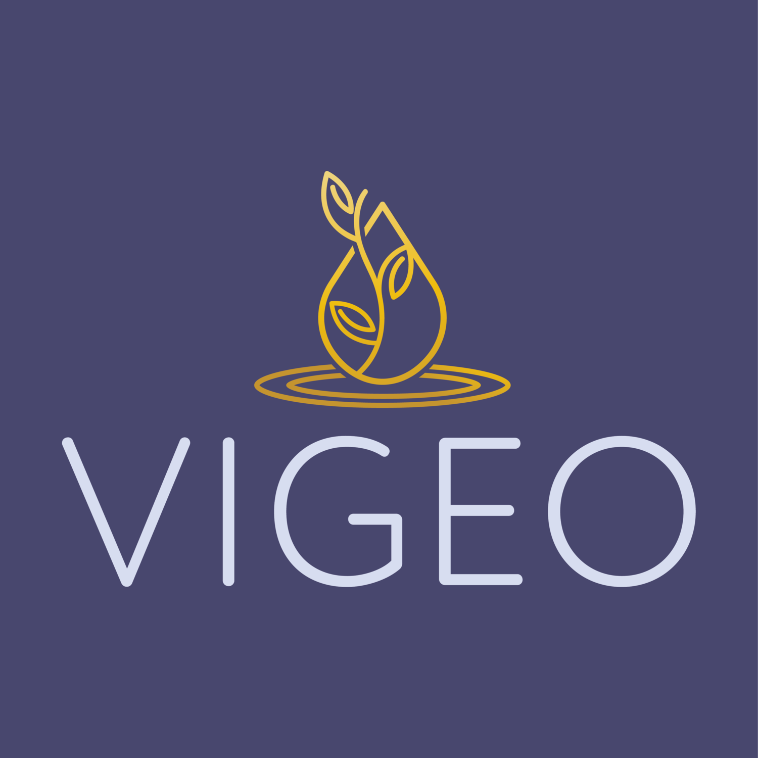 Vigeo