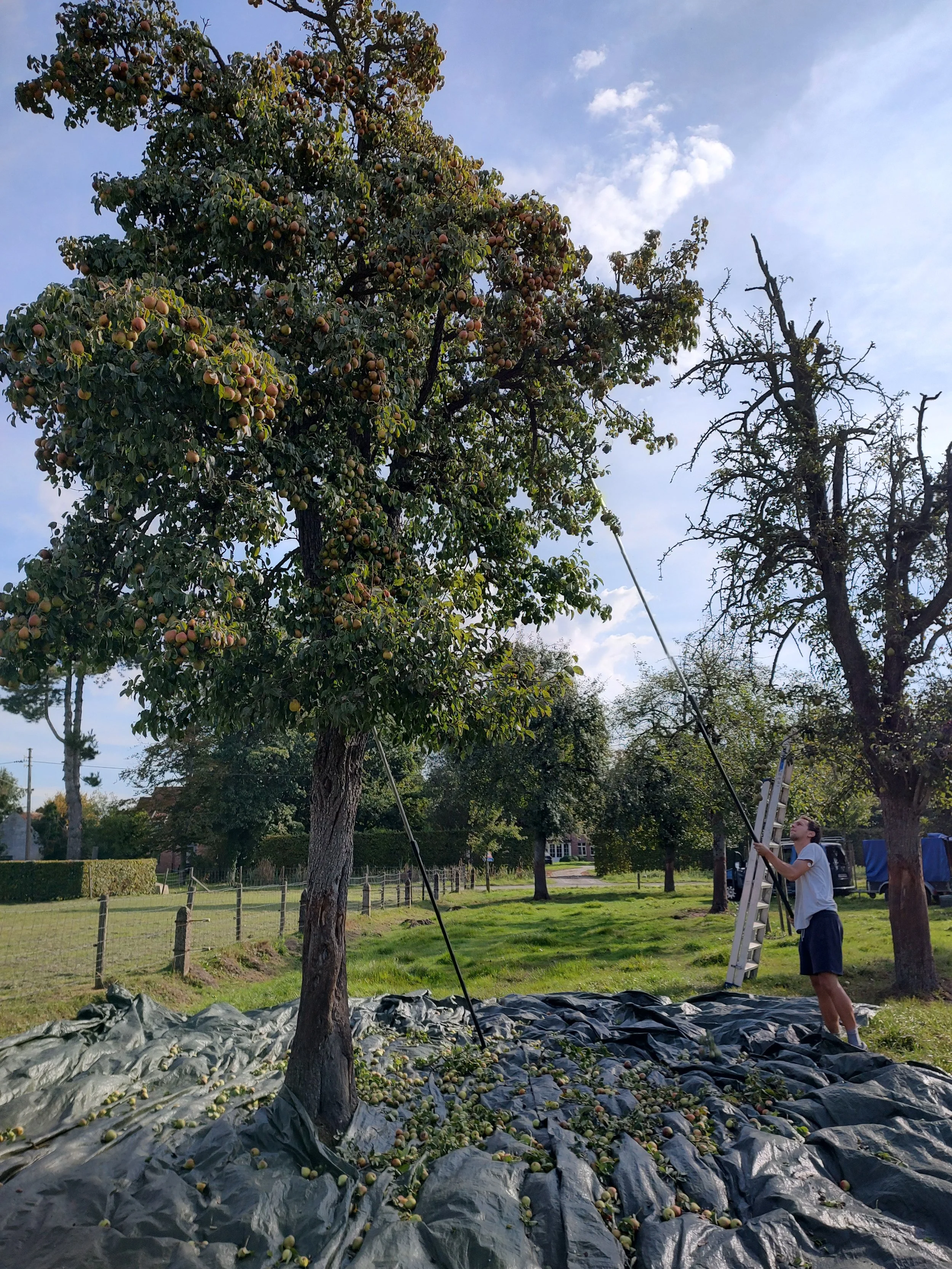IMG_20230916_105952590_HDR.jpg