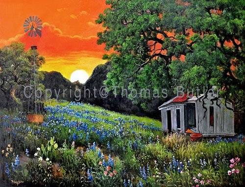 Bluebonnet sunset painting by Thomas Butler: windmill, weathered shed and live oak under an orange sky