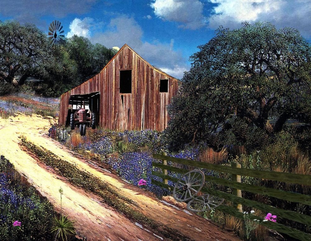 Texas Hill country painting