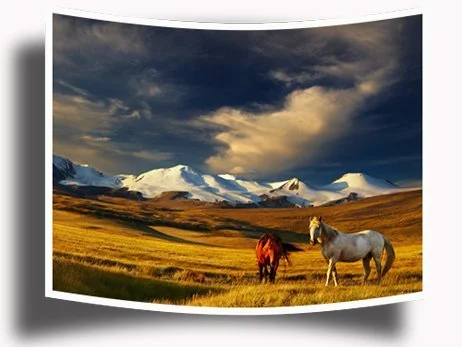 Finished photo print of horses on open plains below snow-capped mountains