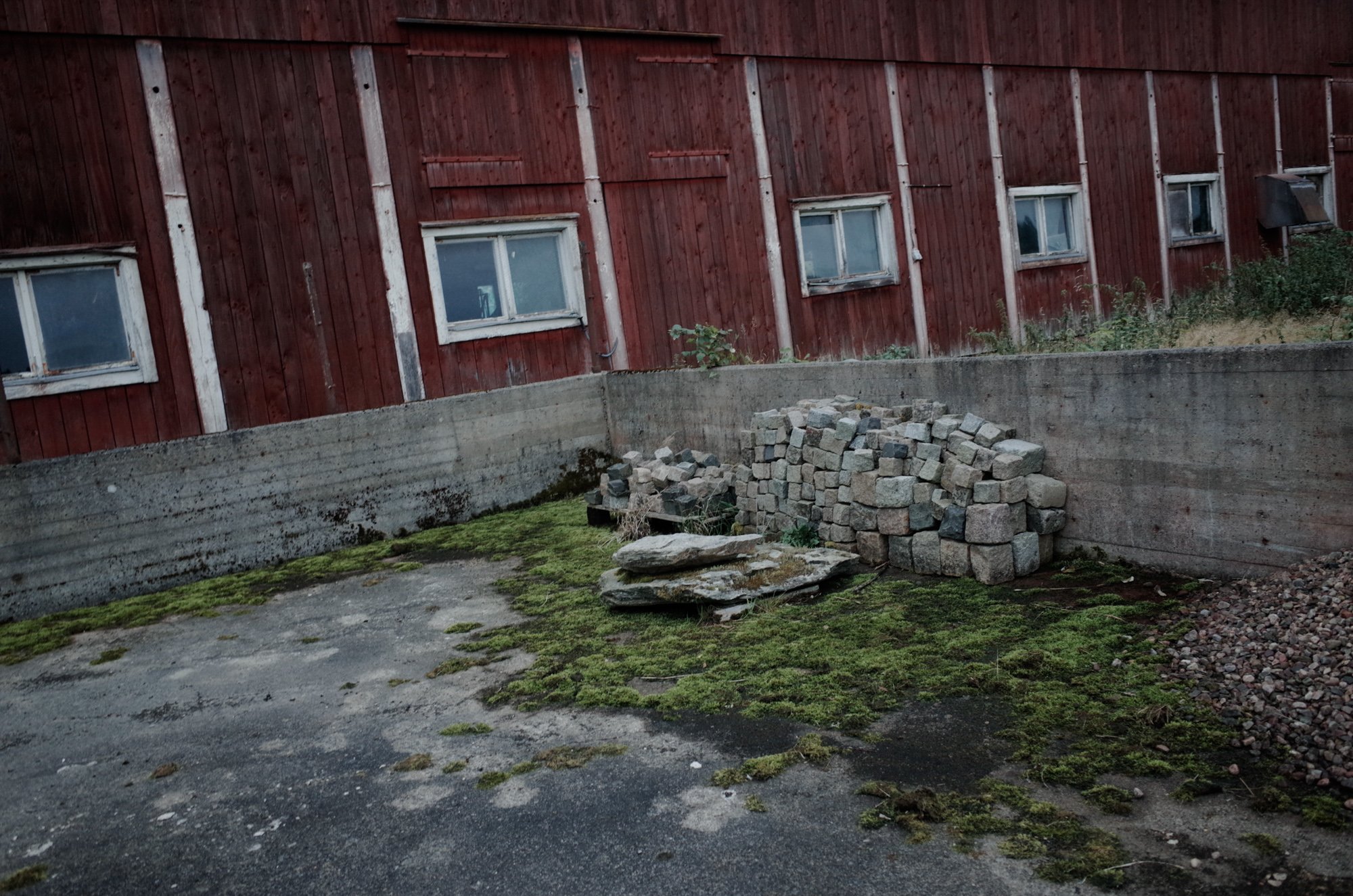 _R019158.jpg