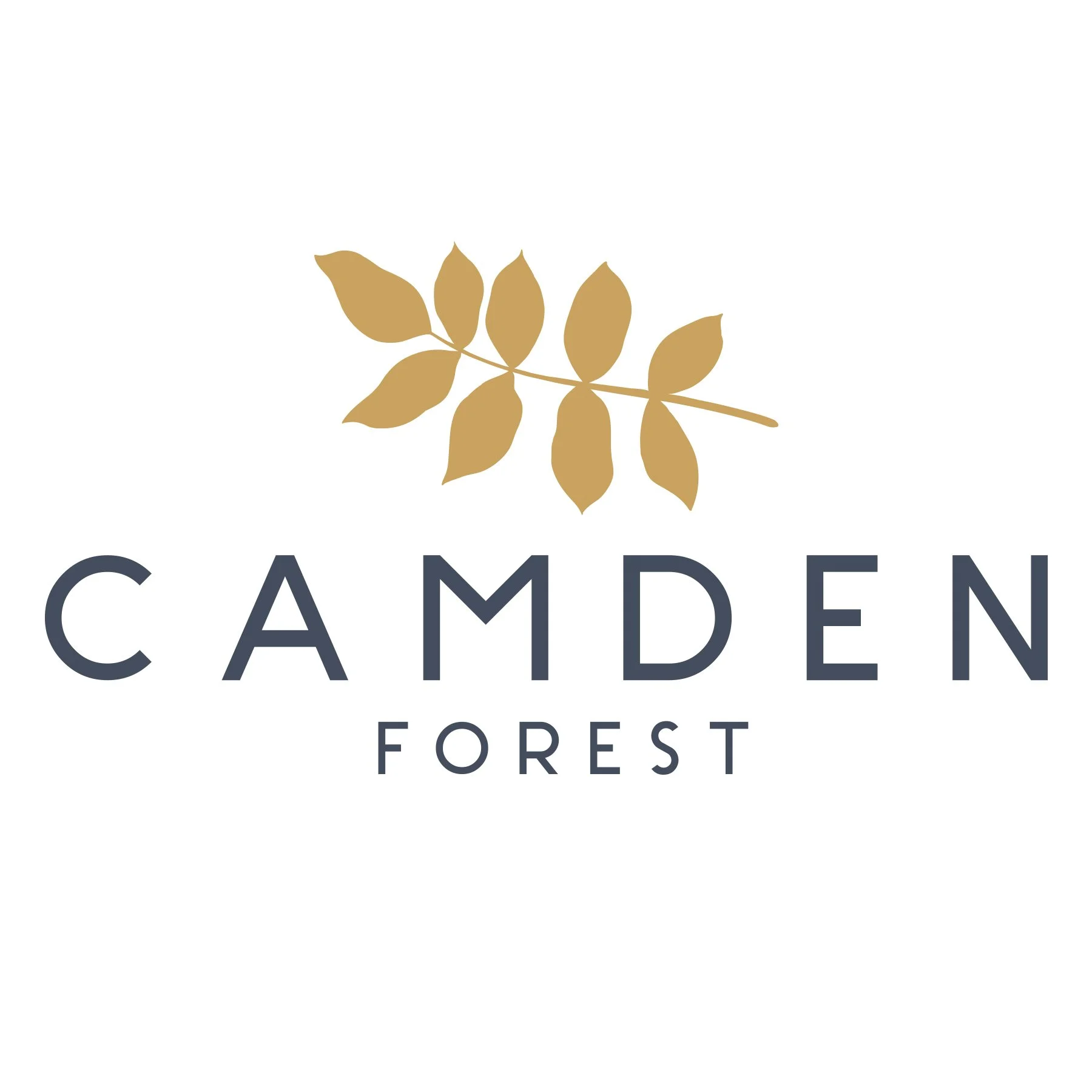 CamdenForest_Logo.jpg