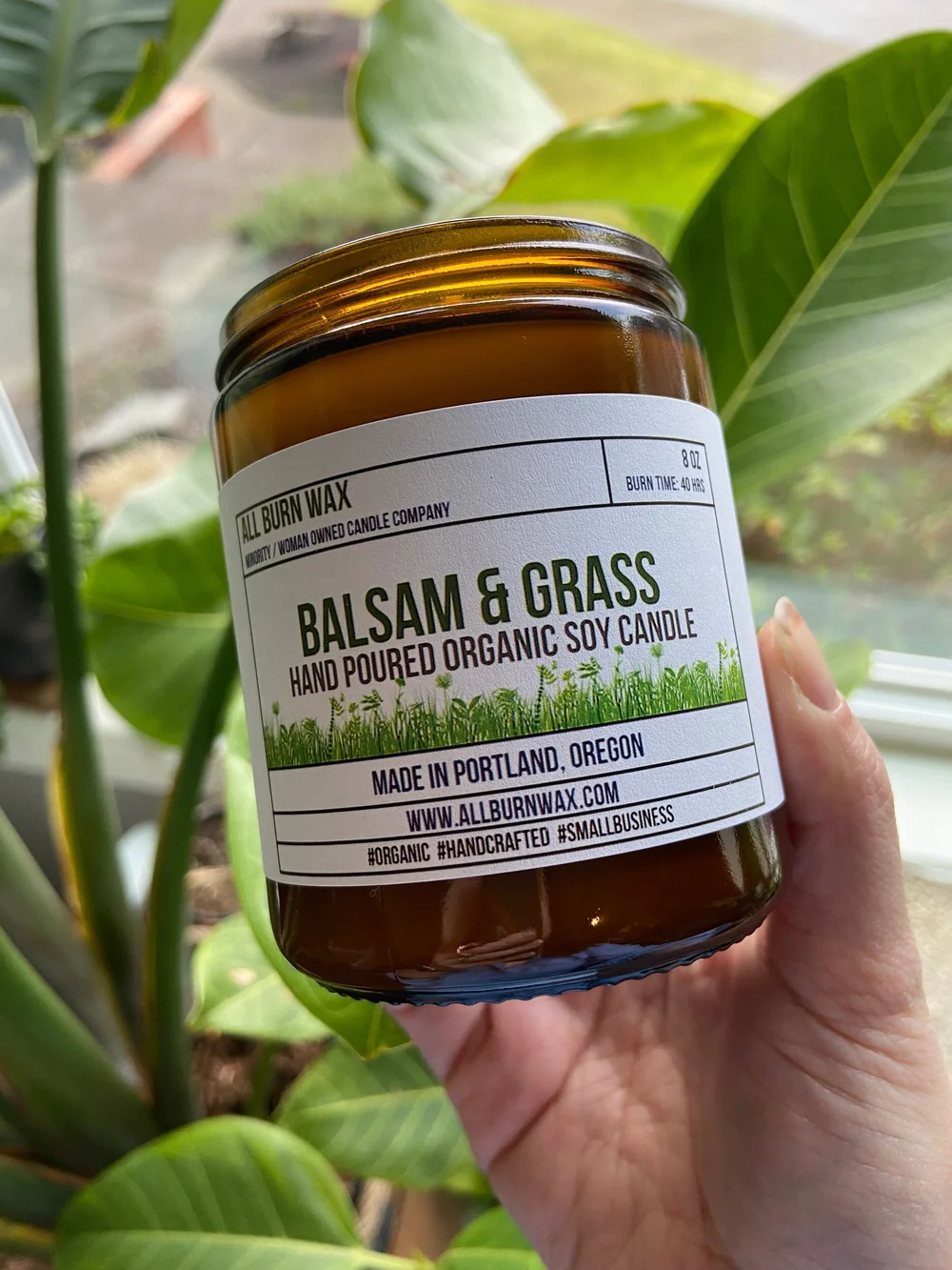Balsam & Grass 8oz — All Burn Wax