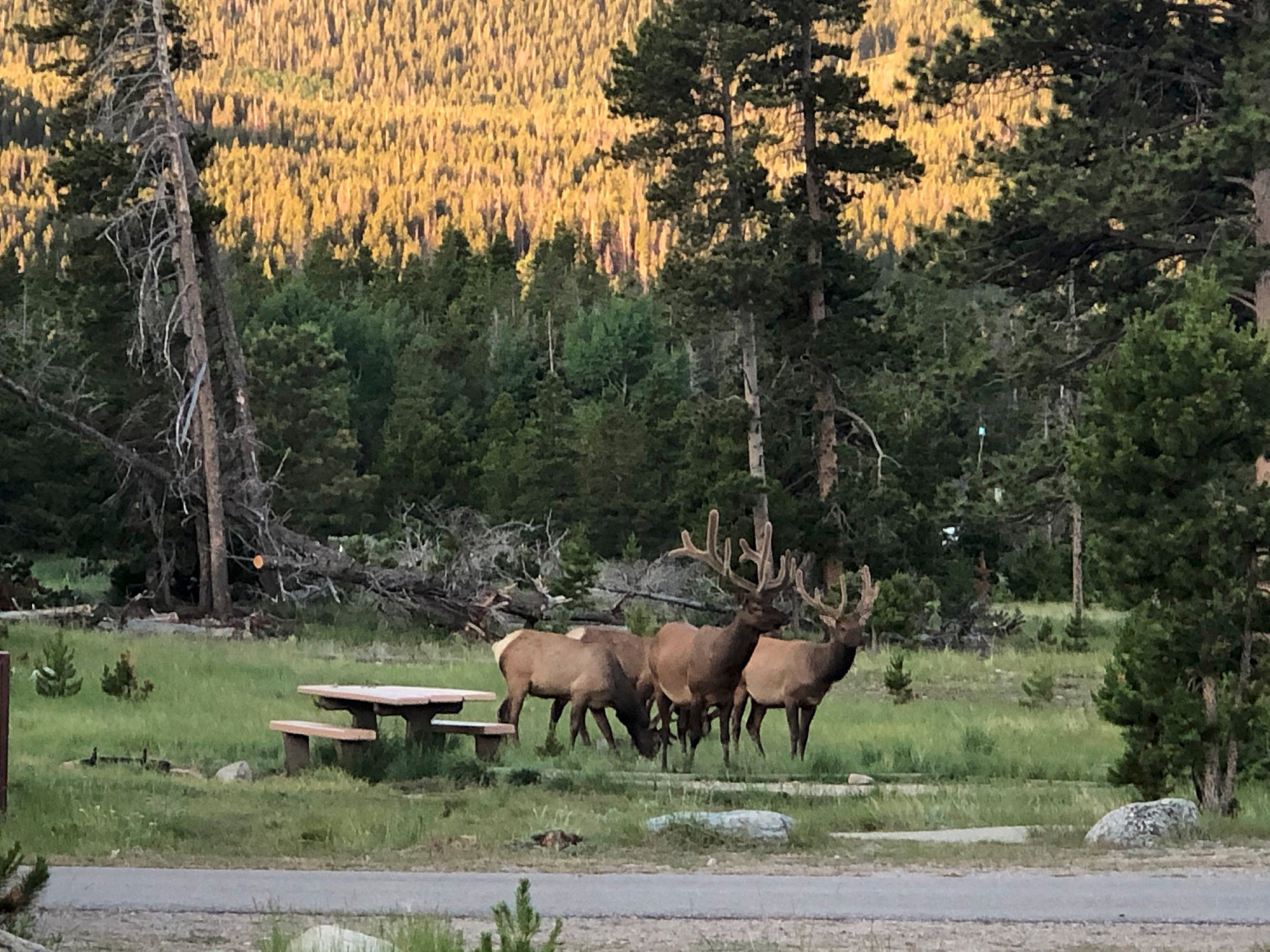 Colorado+-+42.jpg