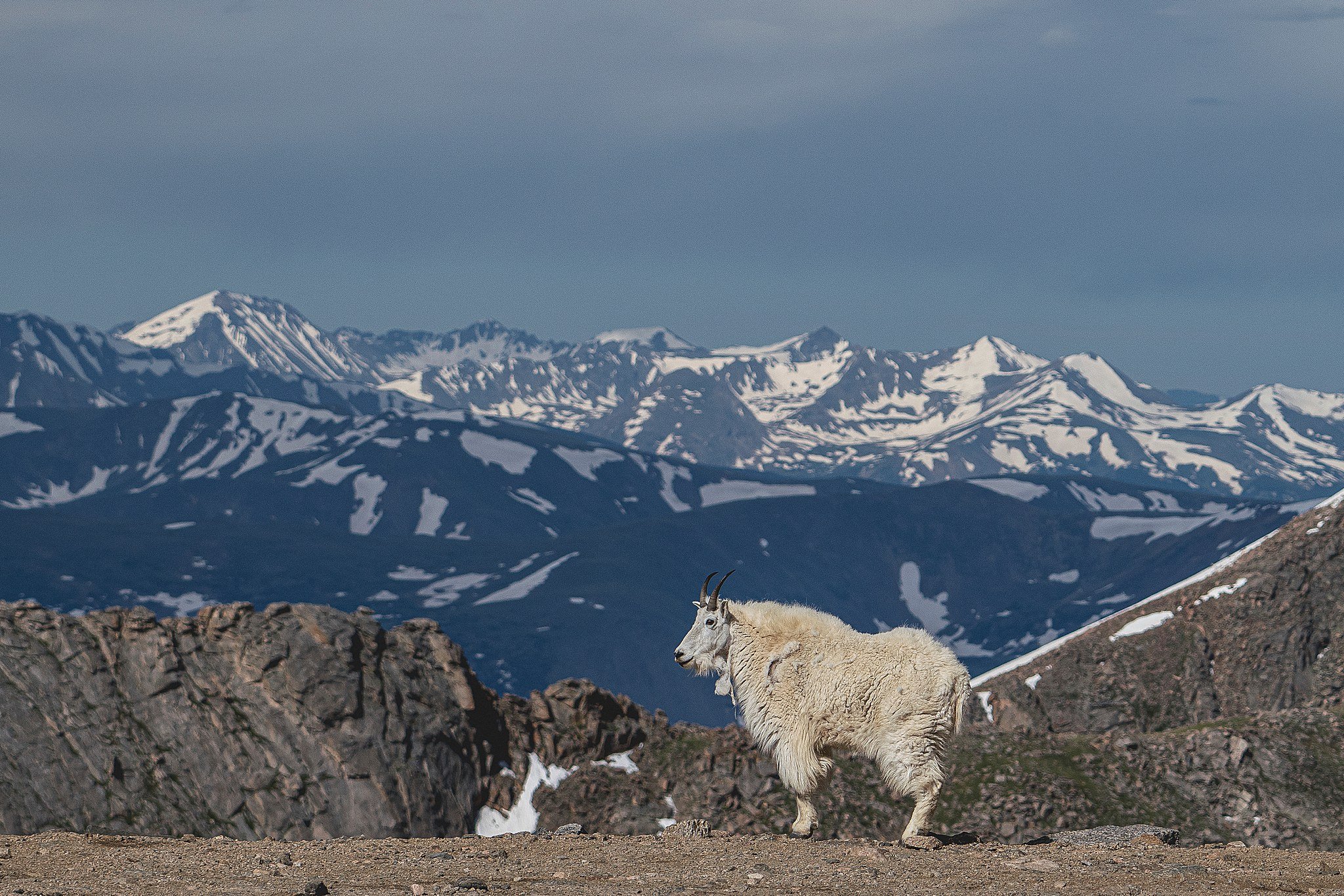 Colorado+-+58.jpg