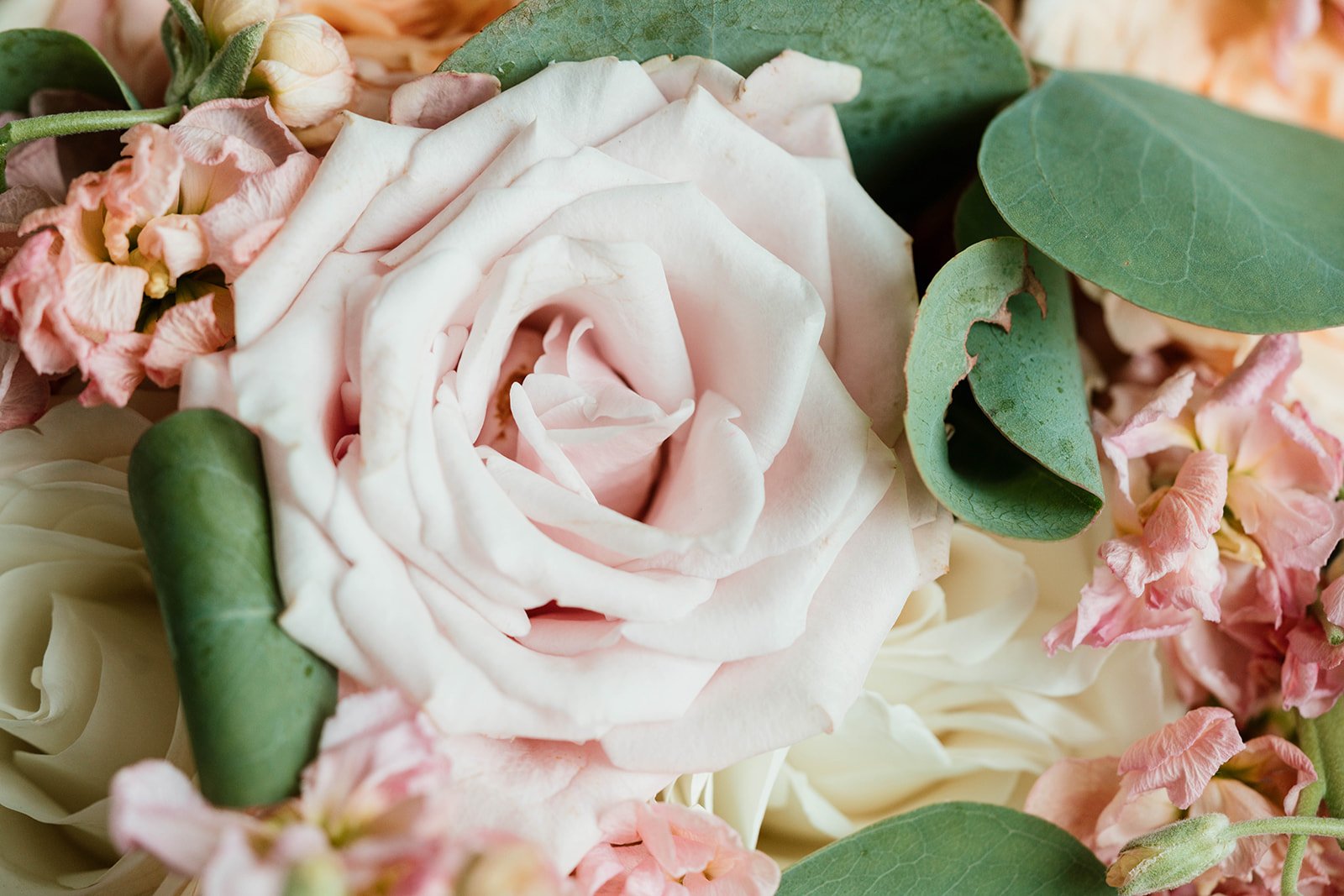 Why The Greenes Still Mask at Weddings