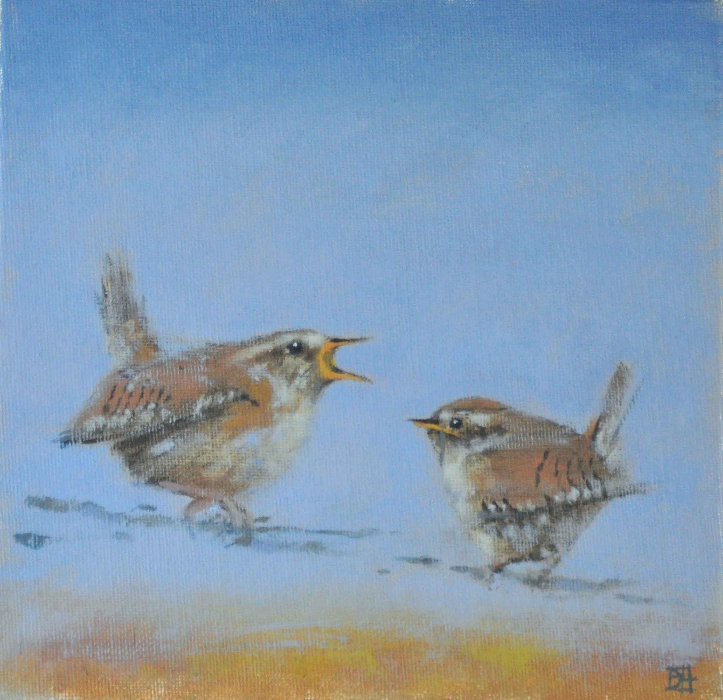 IMAGE 3_Little Wren.JPG
