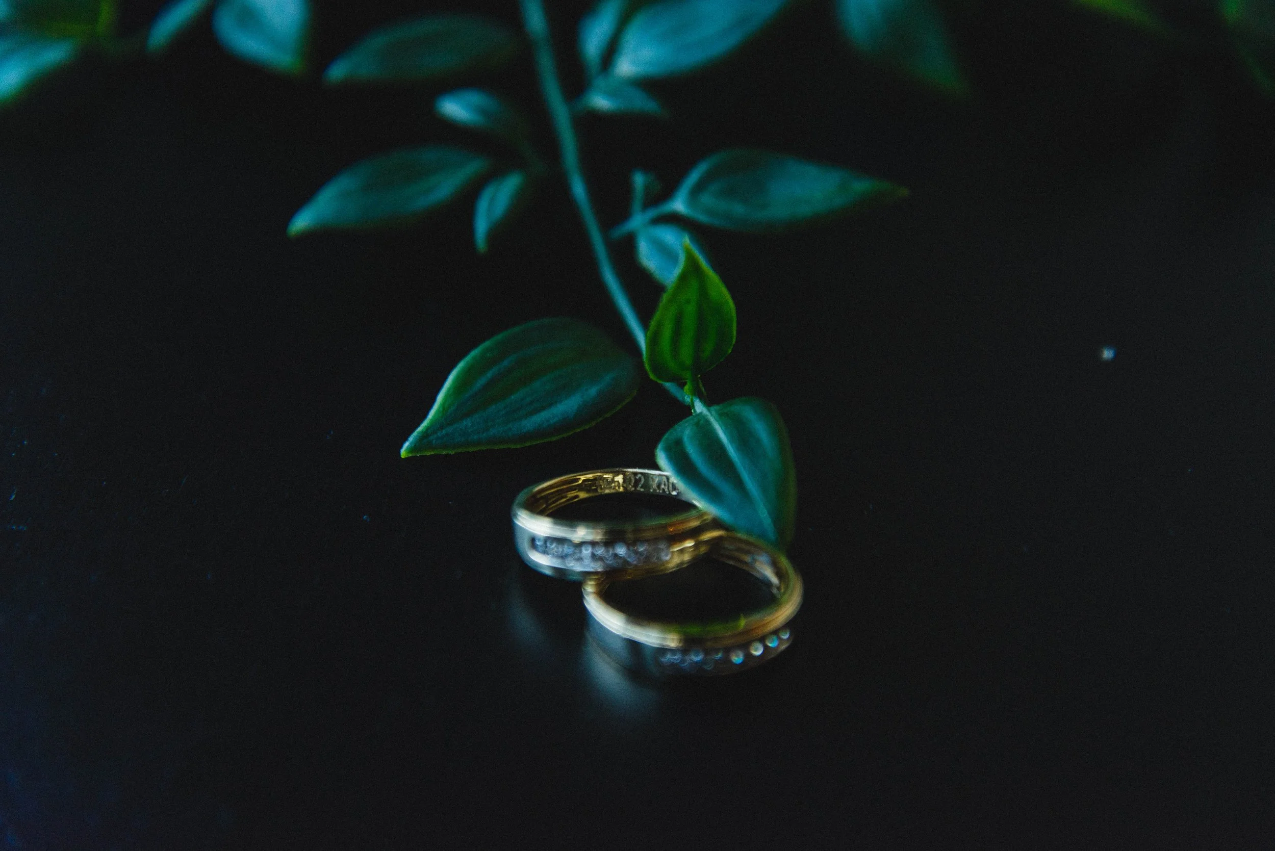 alejandro&moises 19nov-3.jpg