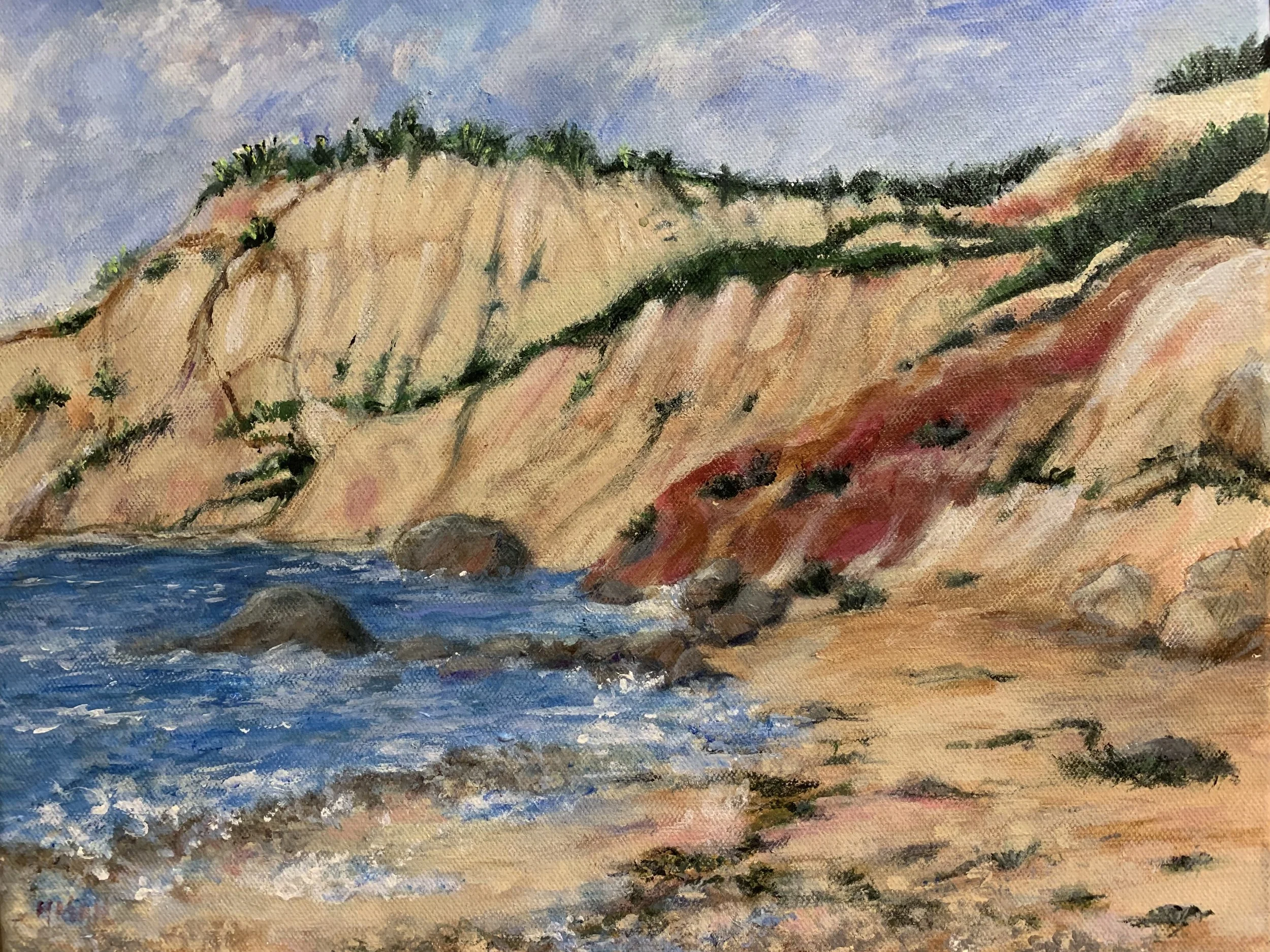 Martha's Vineyard, Clay Cliffs - 1 x 14, Acrylic on Canvas