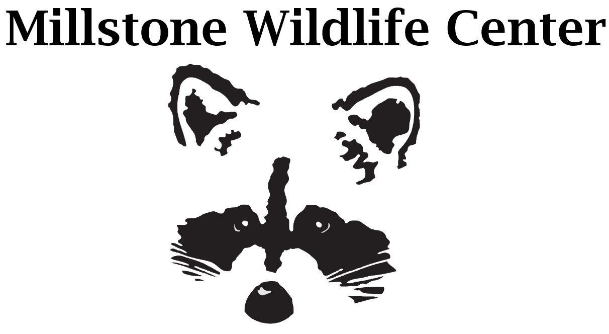 Millstone Wildlife Center 